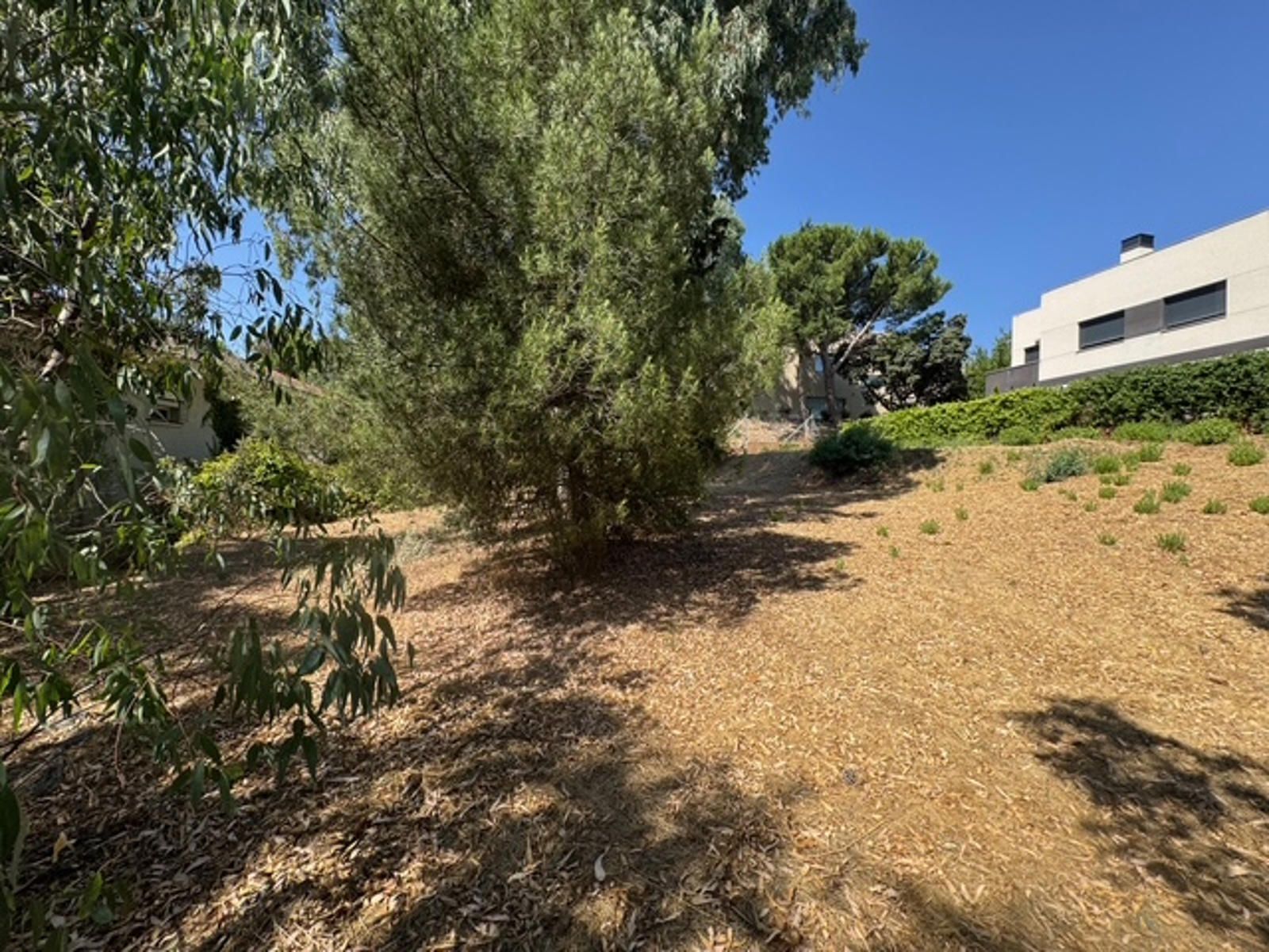 Fincas y solares-Venta-Las Rozas de Madrid-2412848-Foto-11