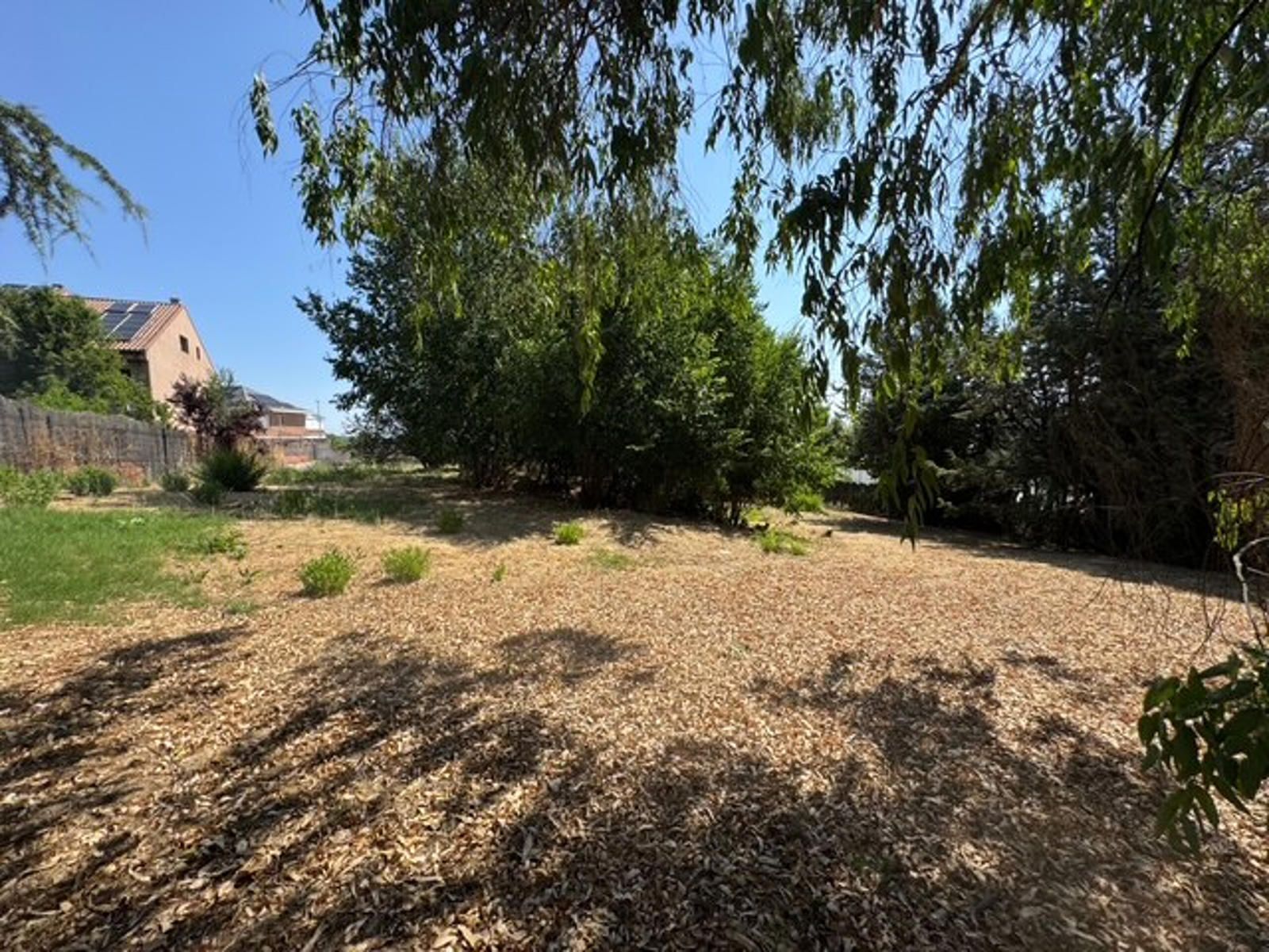 Fincas y solares-Venta-Las Rozas de Madrid-2412848-Foto-12