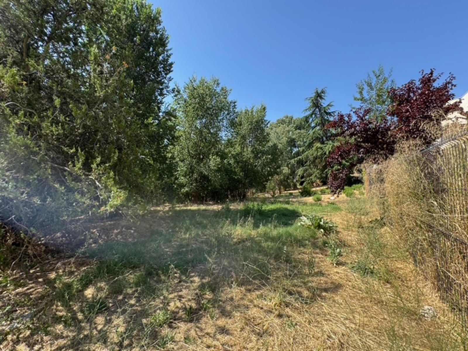 Fincas y solares-Venta-Las Rozas de Madrid-2412848-Foto-15
