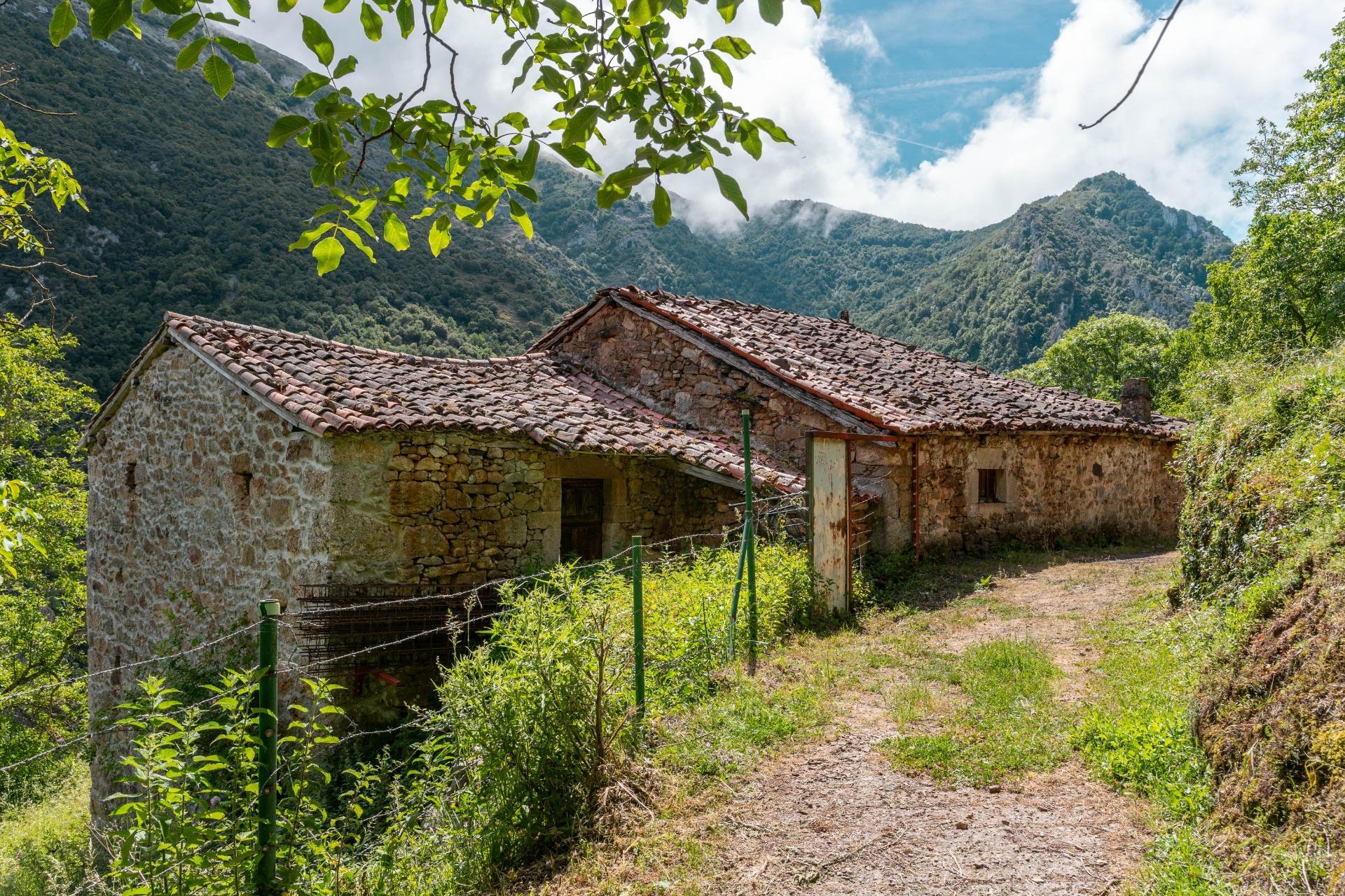 Casas o chalets-Venta-Belmonte de Miranda-2412728
