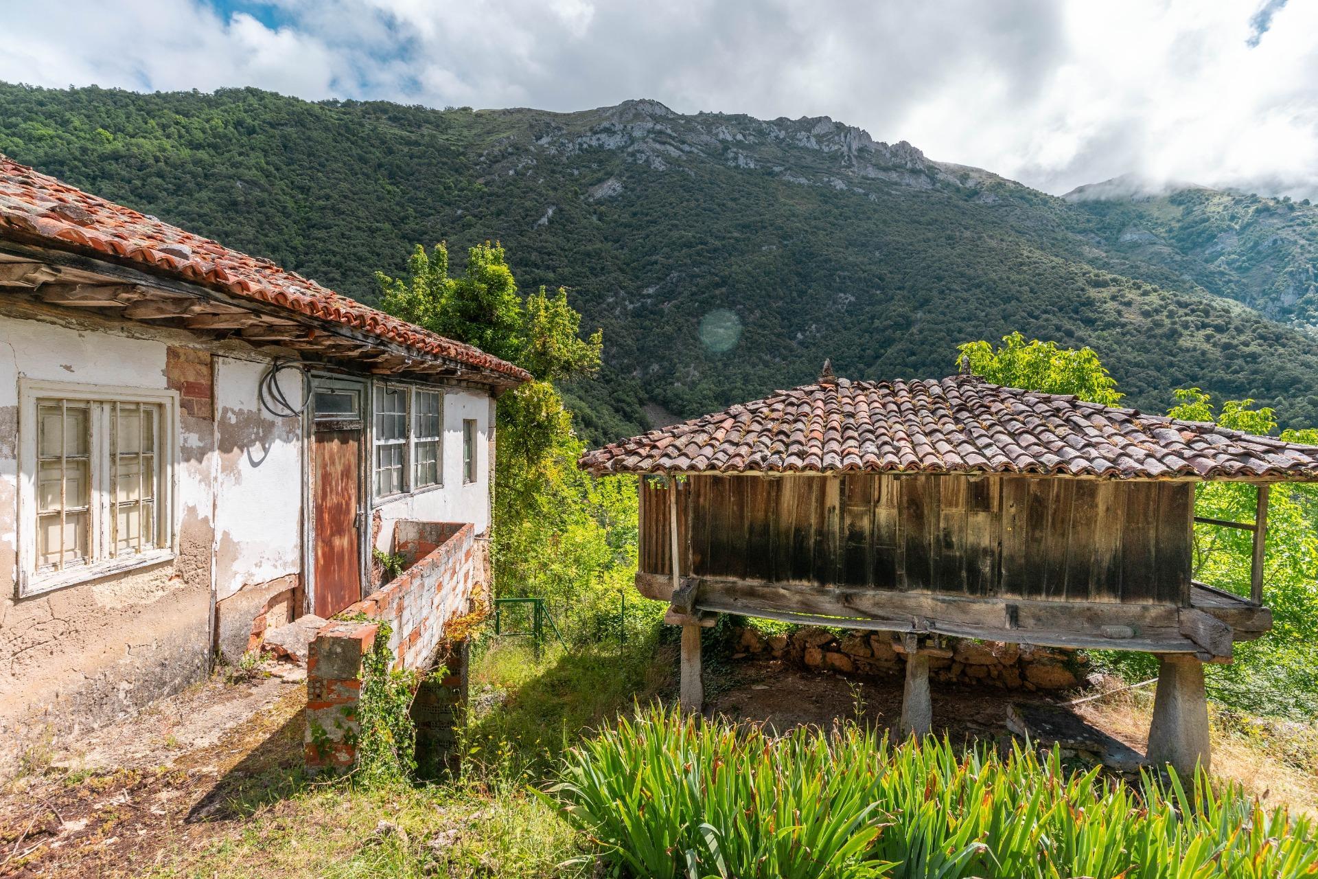 Casas o chalets-Venta-Belmonte de Miranda-2412728-Foto-3