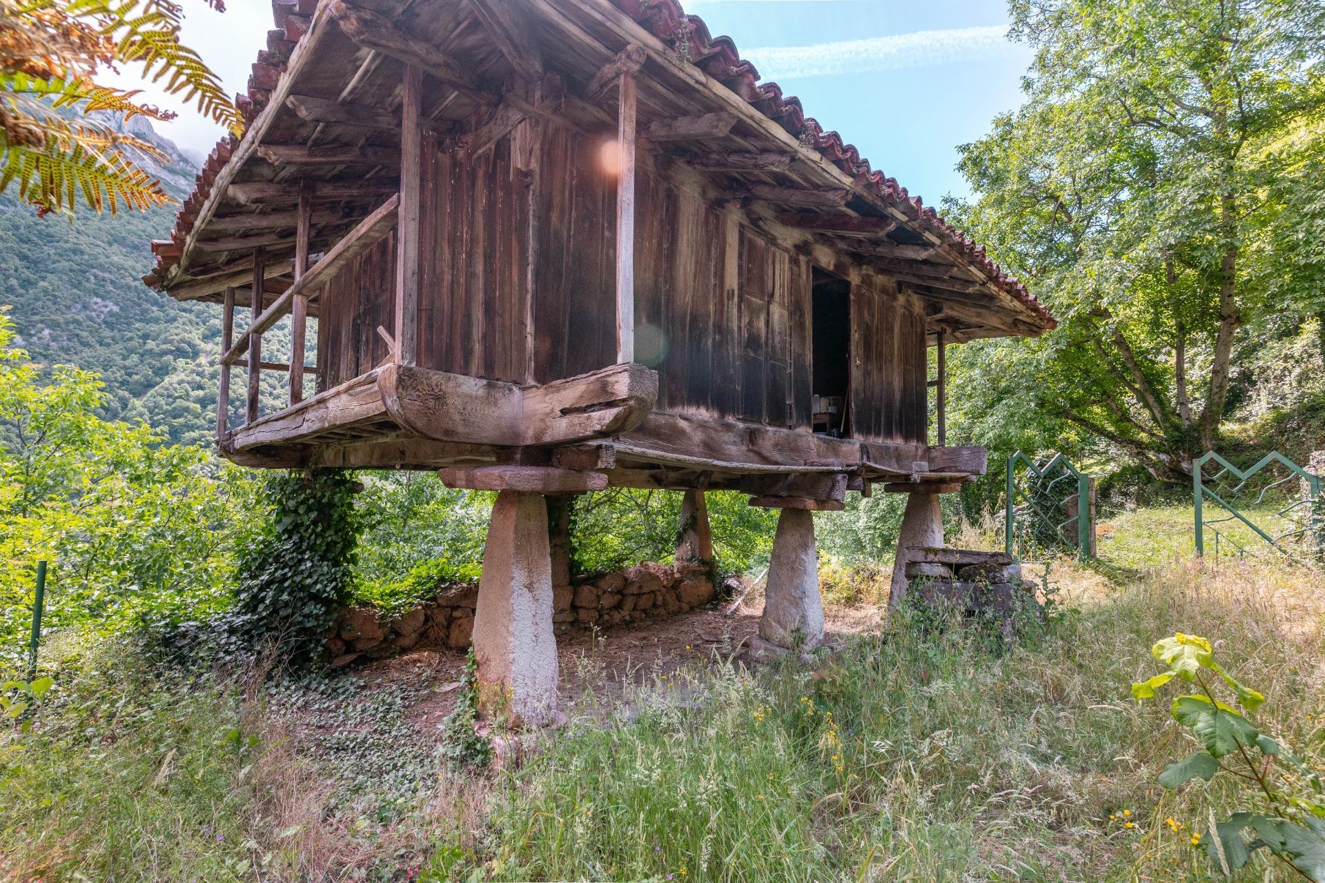 Casas o chalets-Venta-Belmonte de Miranda-2412728-Foto-17