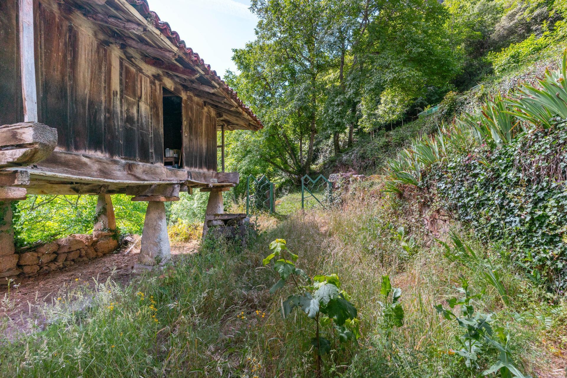 Casas o chalets-Venta-Belmonte de Miranda-2412728-Foto-19