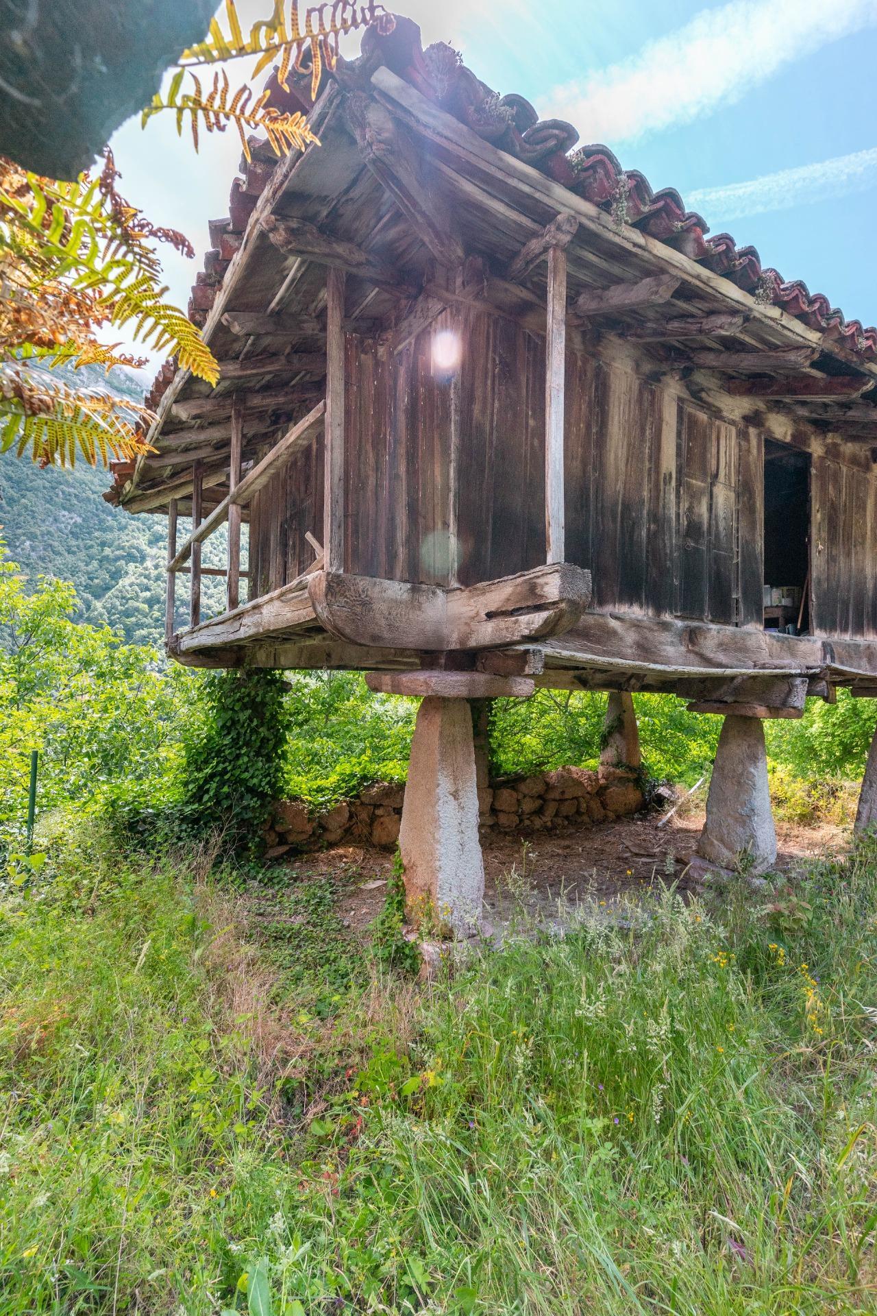 Casas o chalets-Venta-Belmonte de Miranda-2412728-Foto-18