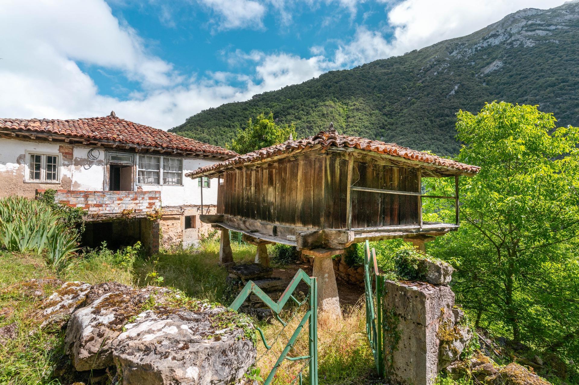 Casas o chalets-Venta-Belmonte de Miranda-2412728-Foto-31