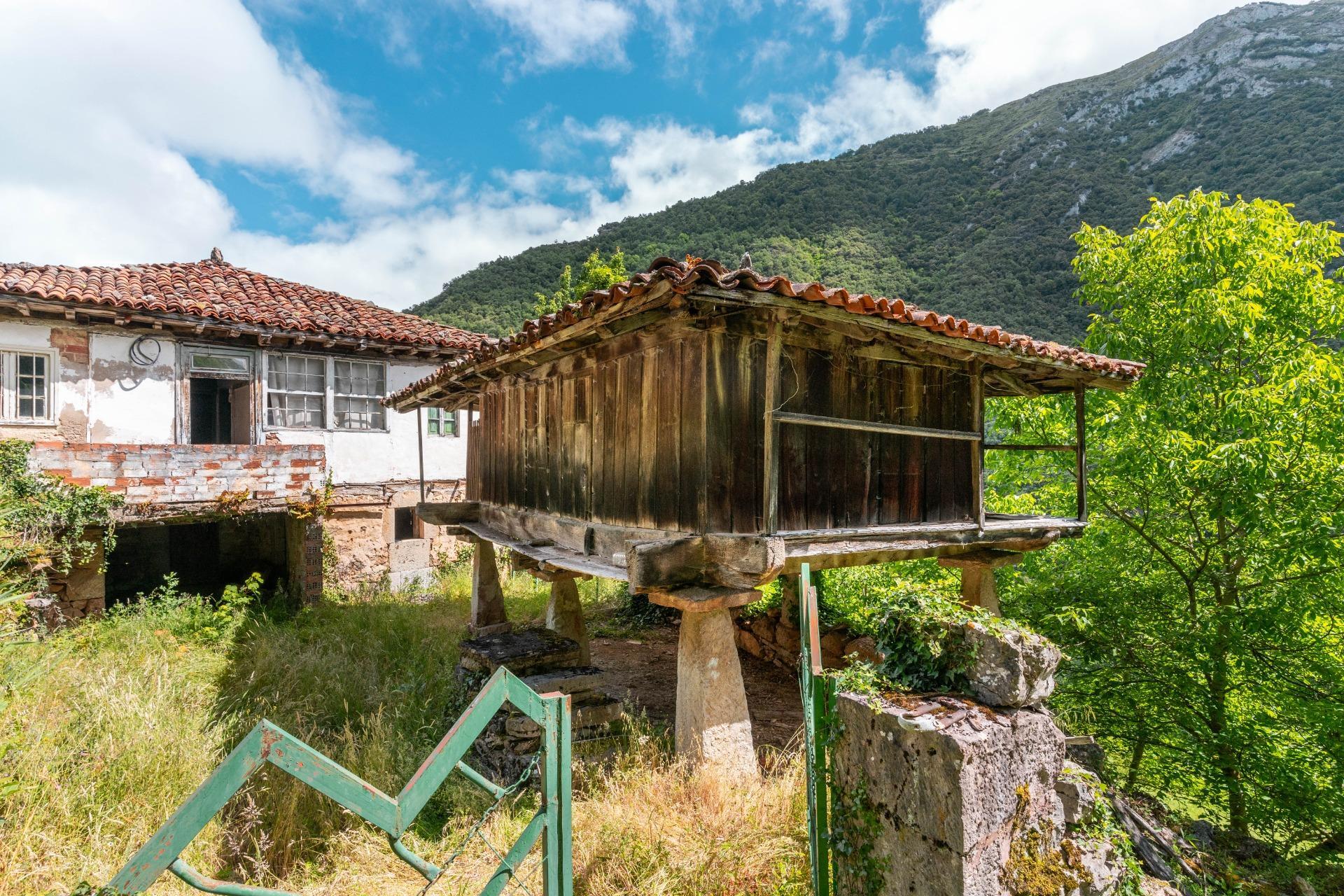Casas o chalets-Venta-Belmonte de Miranda-2412728-Foto-30