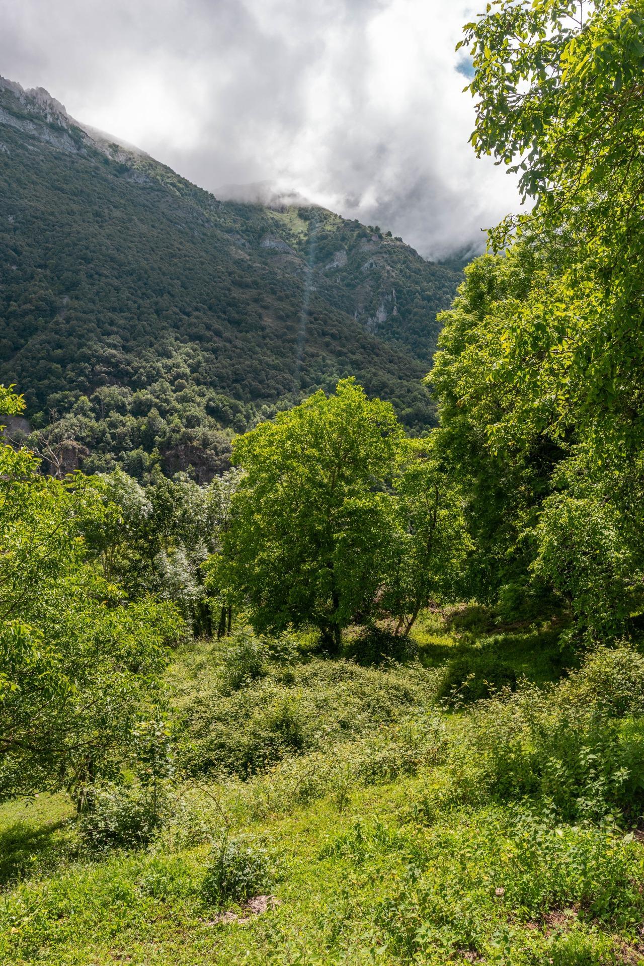 Casas o chalets-Venta-Belmonte de Miranda-2412728-Foto-34