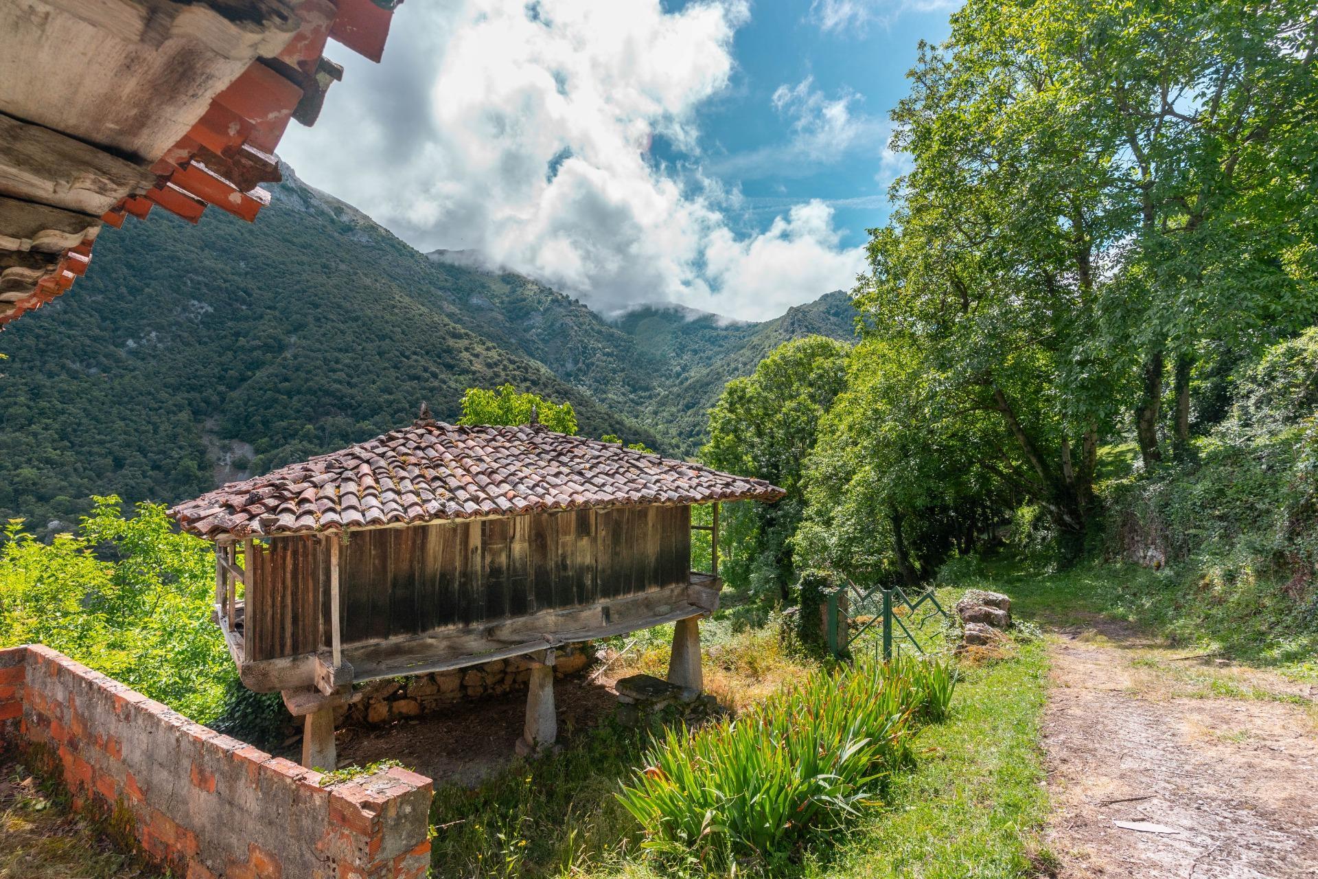 Casas o chalets-Venta-Belmonte de Miranda-2412728-Foto-37