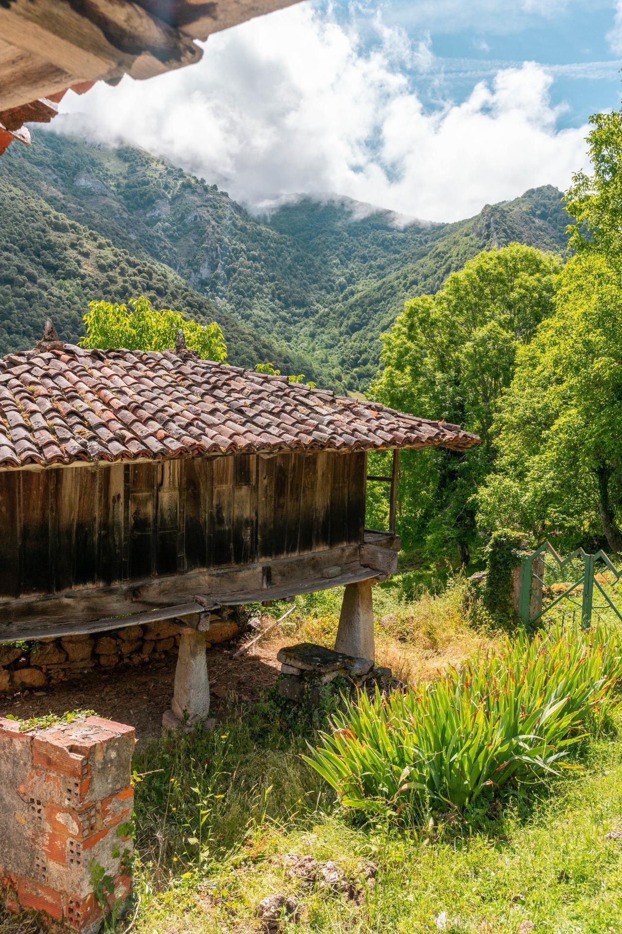 Casas o chalets-Venta-Belmonte de Miranda-2412728-Foto-38