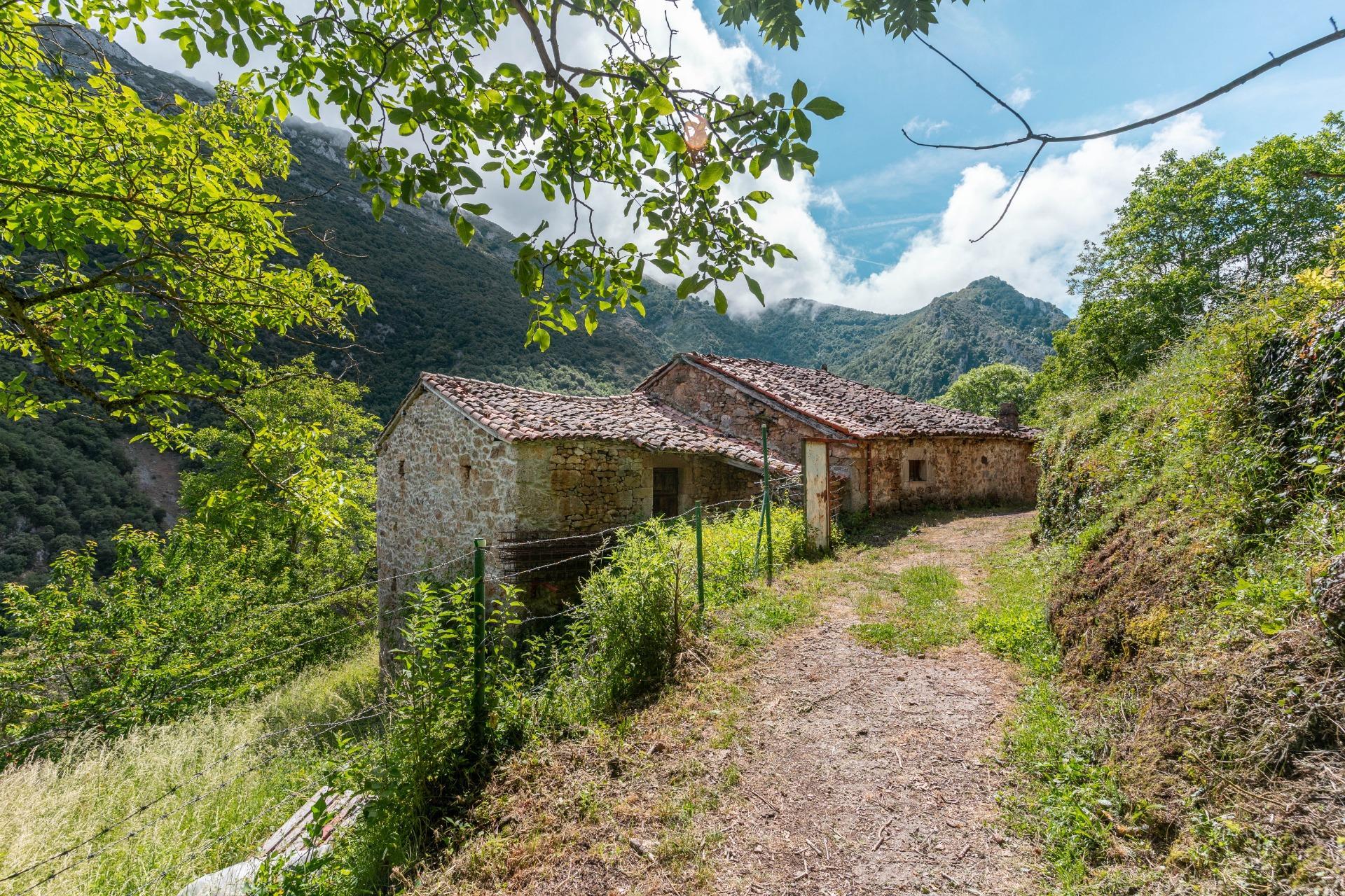 Casas o chalets-Venta-Belmonte de Miranda-2412728-Foto-41