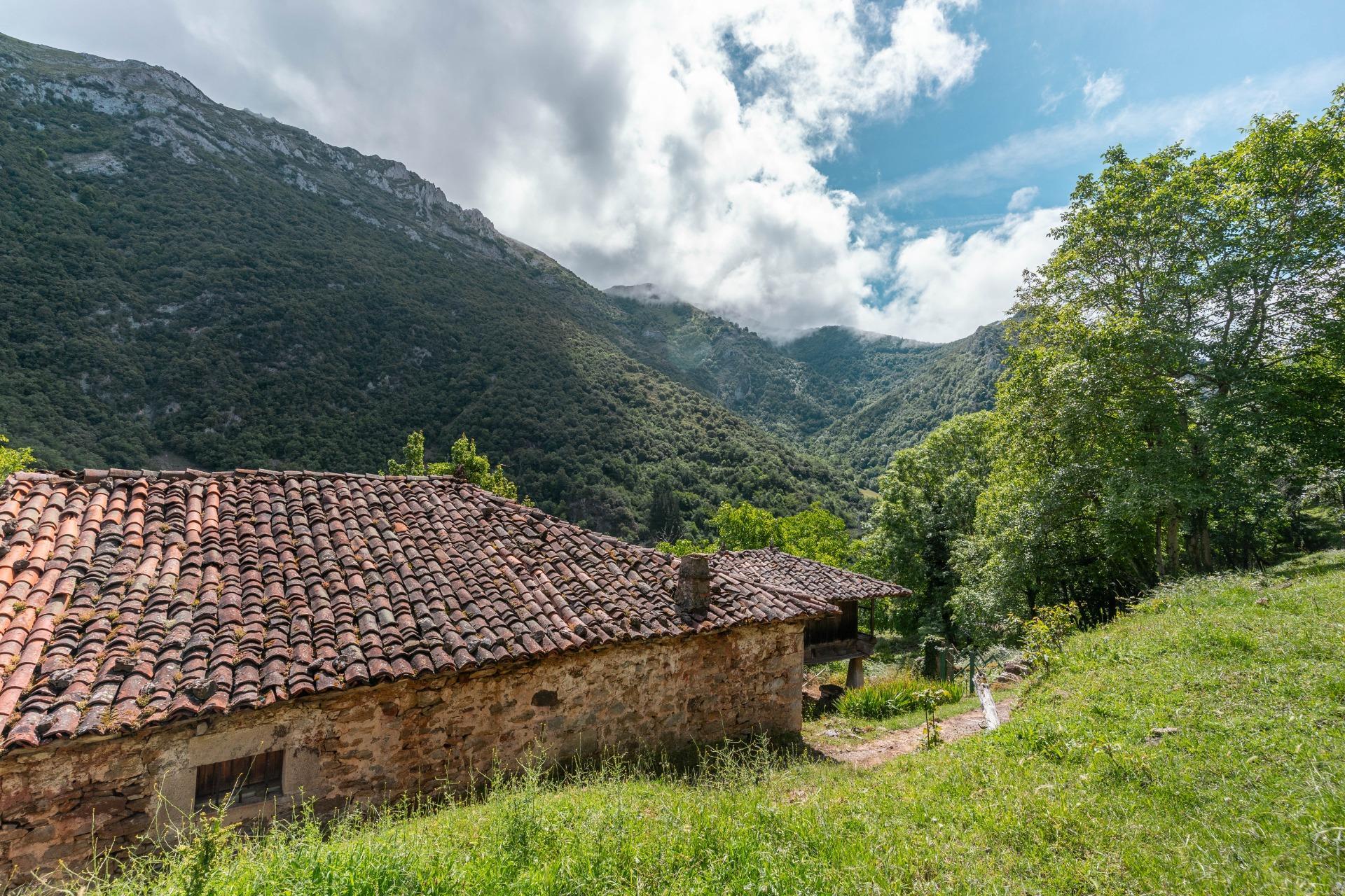 Casas o chalets-Venta-Belmonte de Miranda-2412728-Foto-44