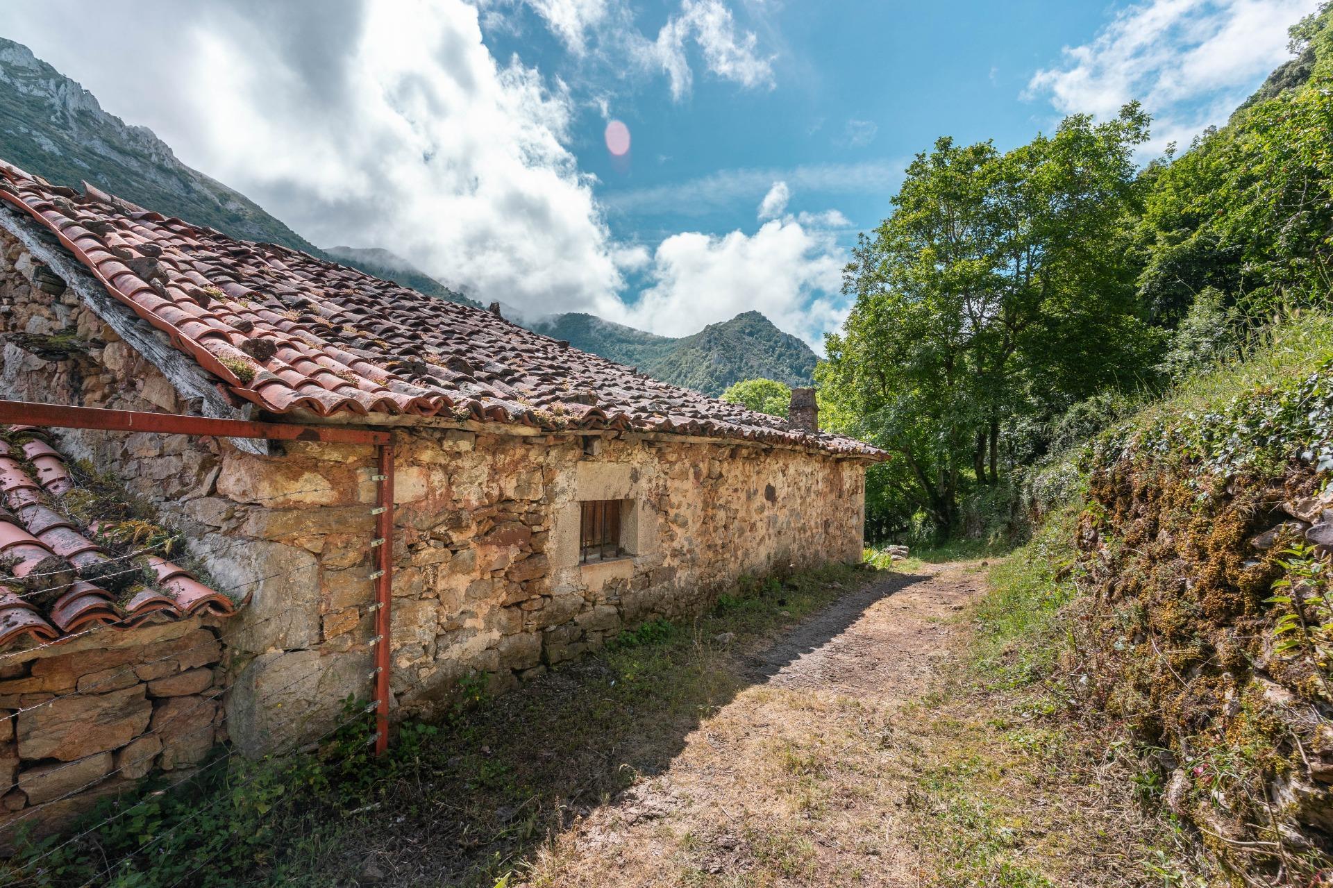 Casas o chalets-Venta-Belmonte de Miranda-2412728-Foto-45