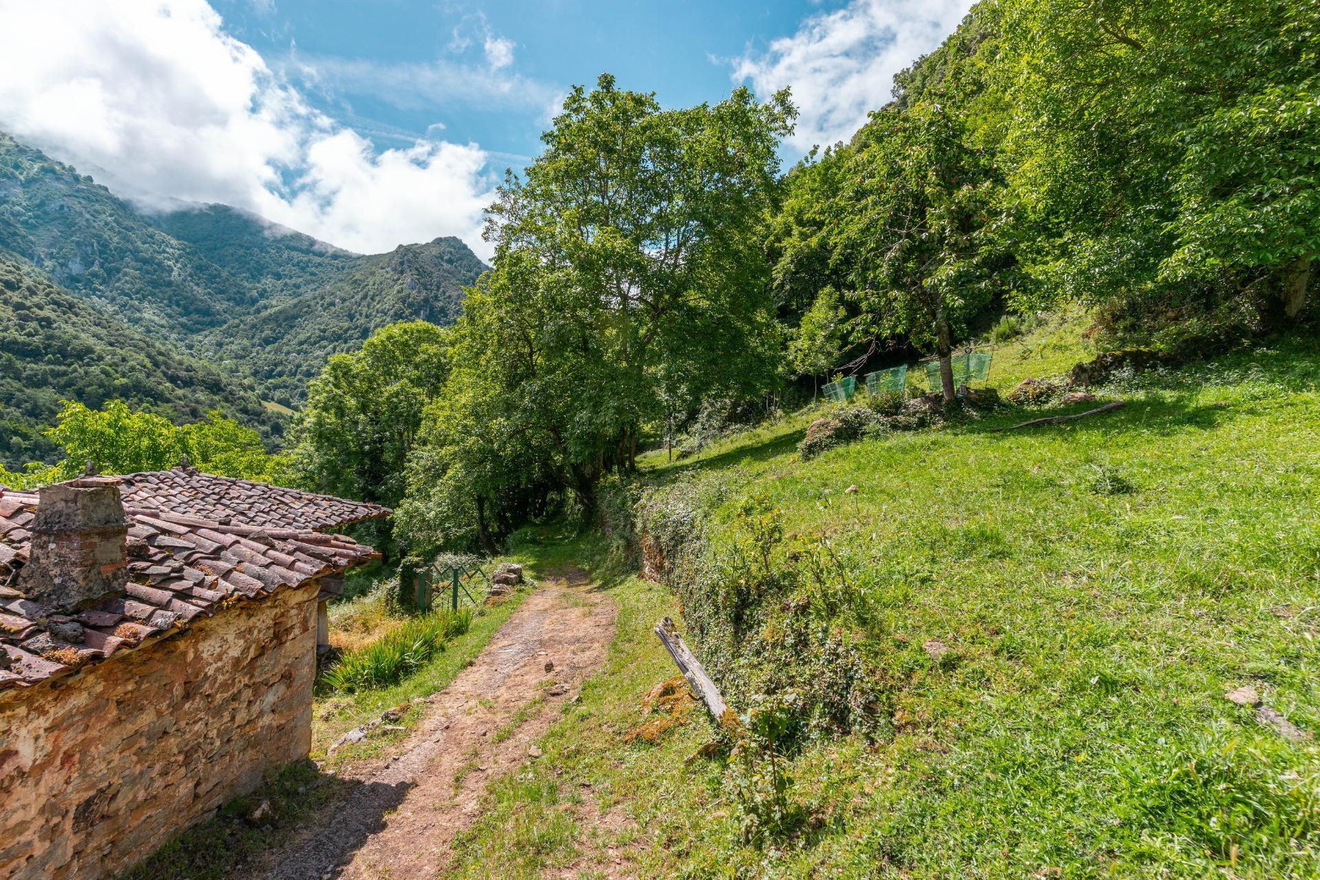 Casas o chalets-Venta-Belmonte de Miranda-2412728-Foto-42