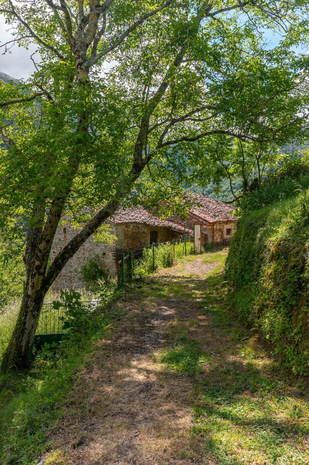 Casas o chalets-Venta-Belmonte de Miranda-2412728-Foto-46