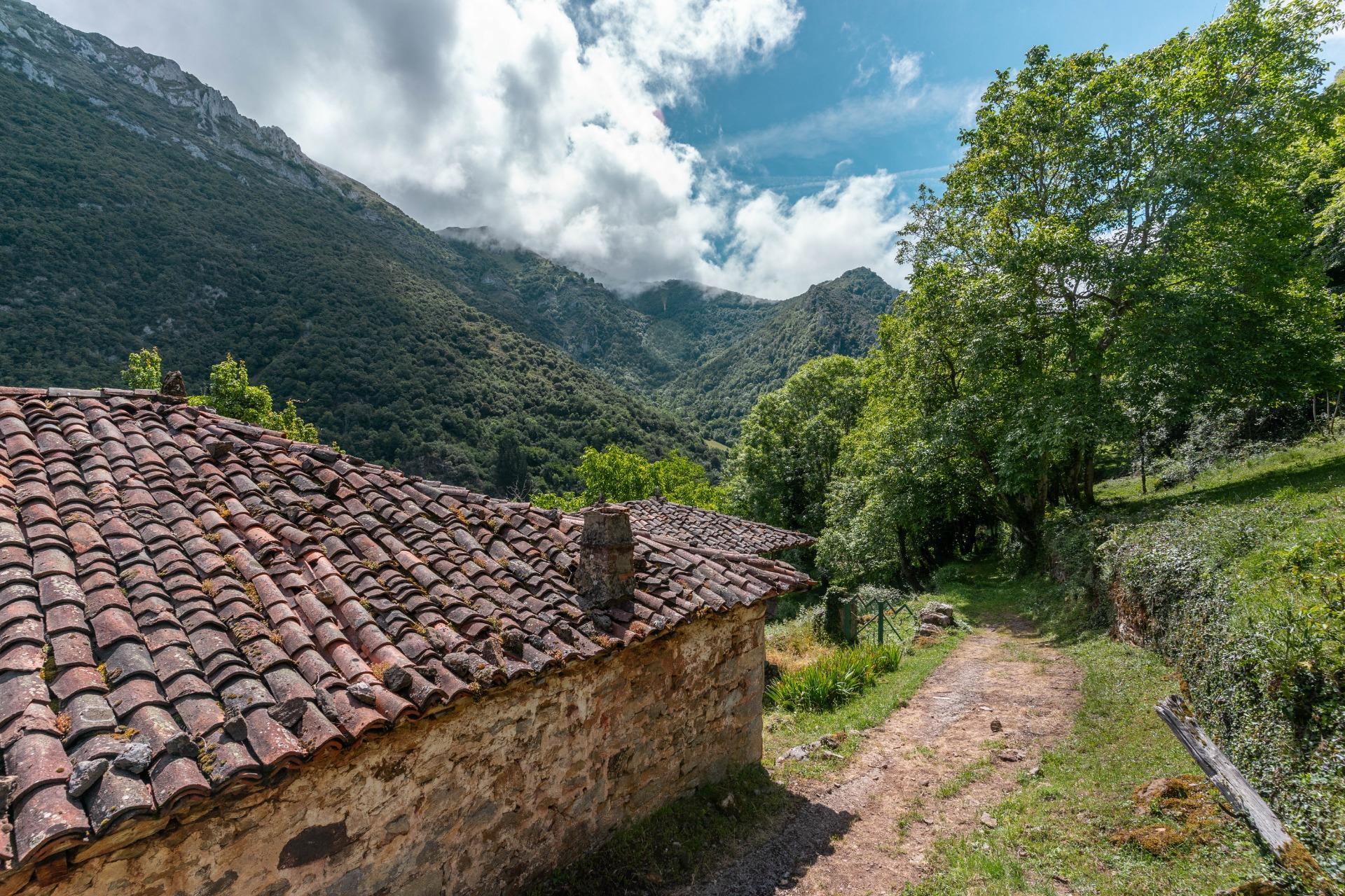 Casas o chalets-Venta-Belmonte de Miranda-2412728-Foto-43