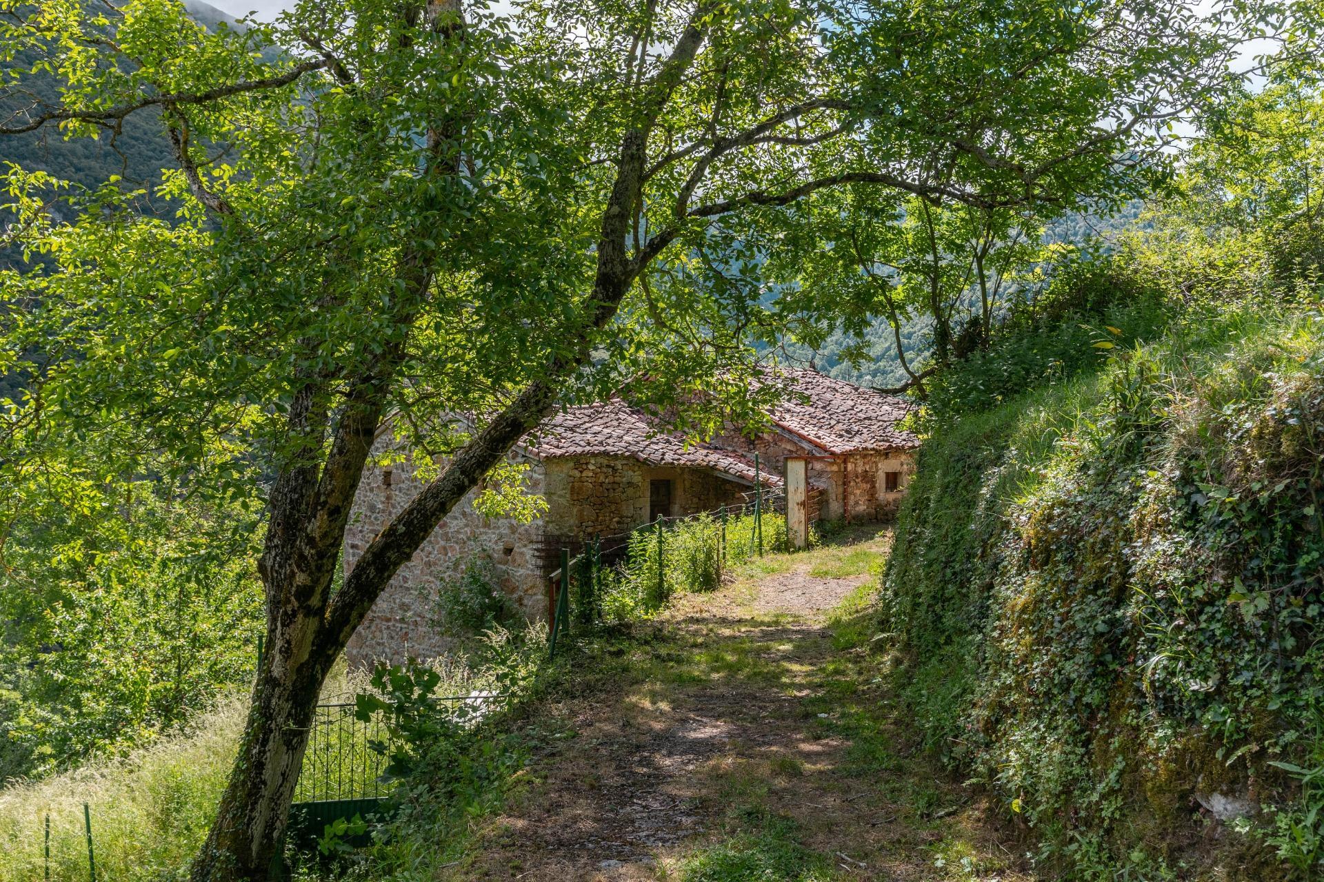 Casas o chalets-Venta-Belmonte de Miranda-2412728-Foto-47
