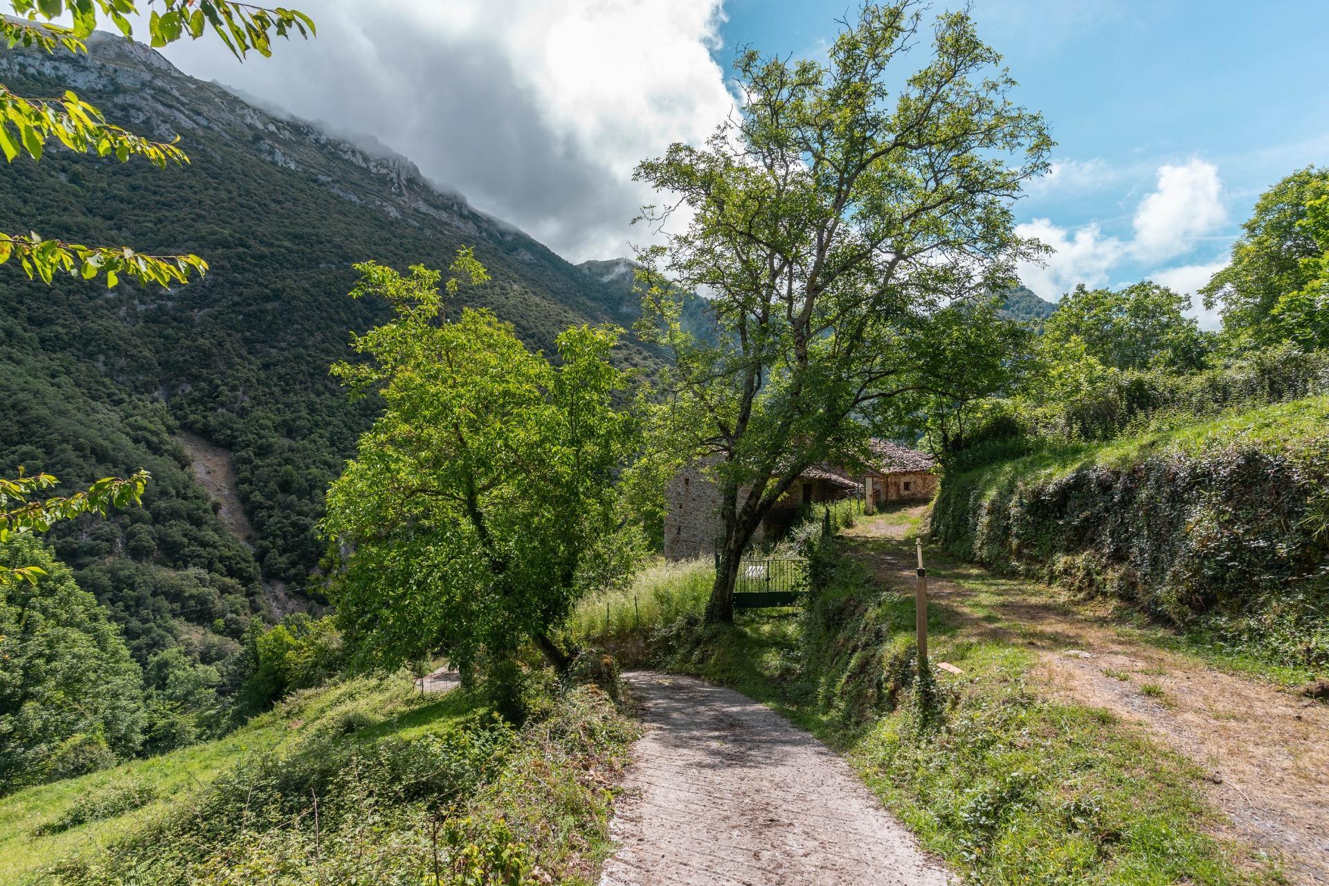 Casas o chalets-Venta-Belmonte de Miranda-2412728-Foto-48