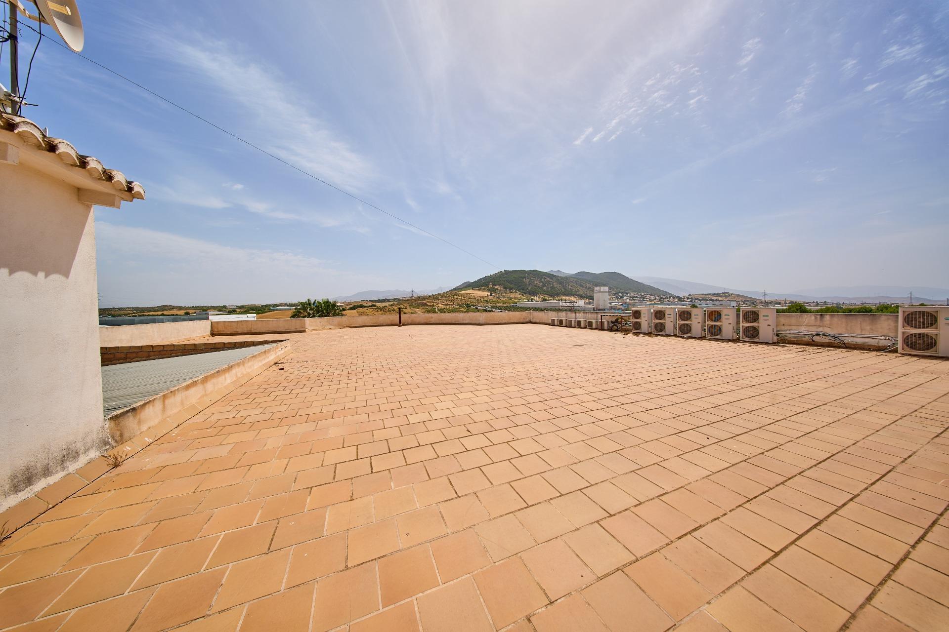 Naves-Venta-Padul-2412635-Foto-23