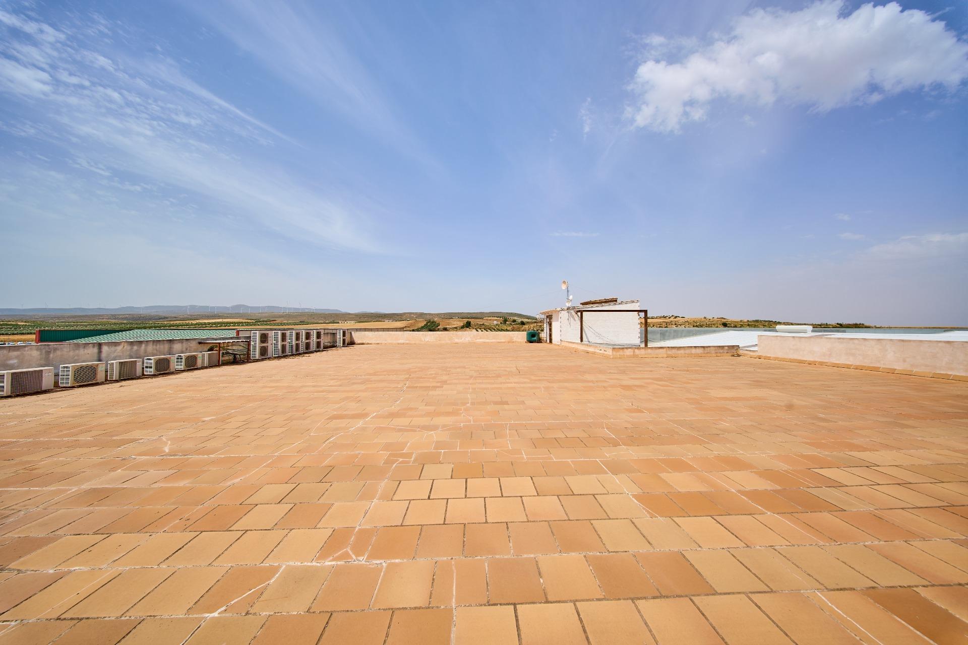 Naves-Venta-Padul-2412635-Foto-24