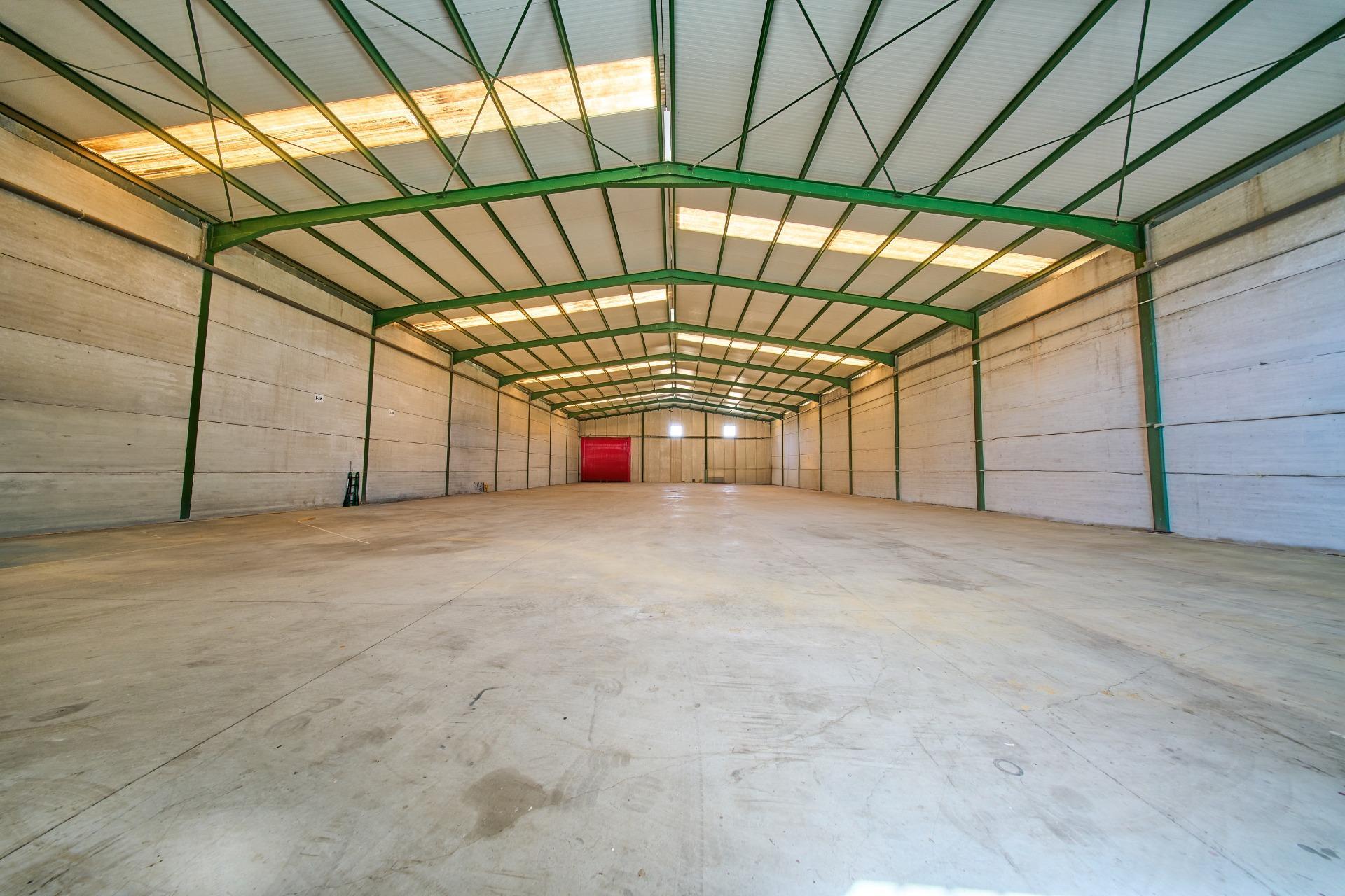 Naves-Venta-Padul-2412635-Foto-30
