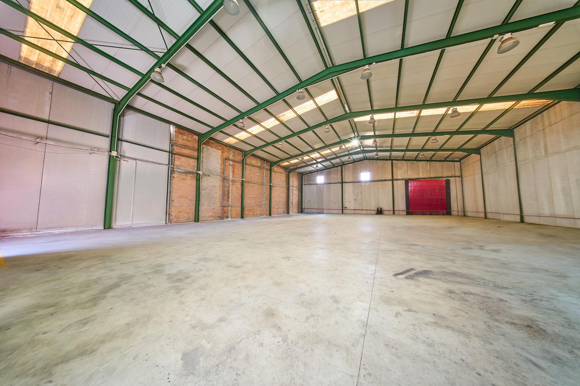Naves-Venta-Padul-2412635-Foto-28