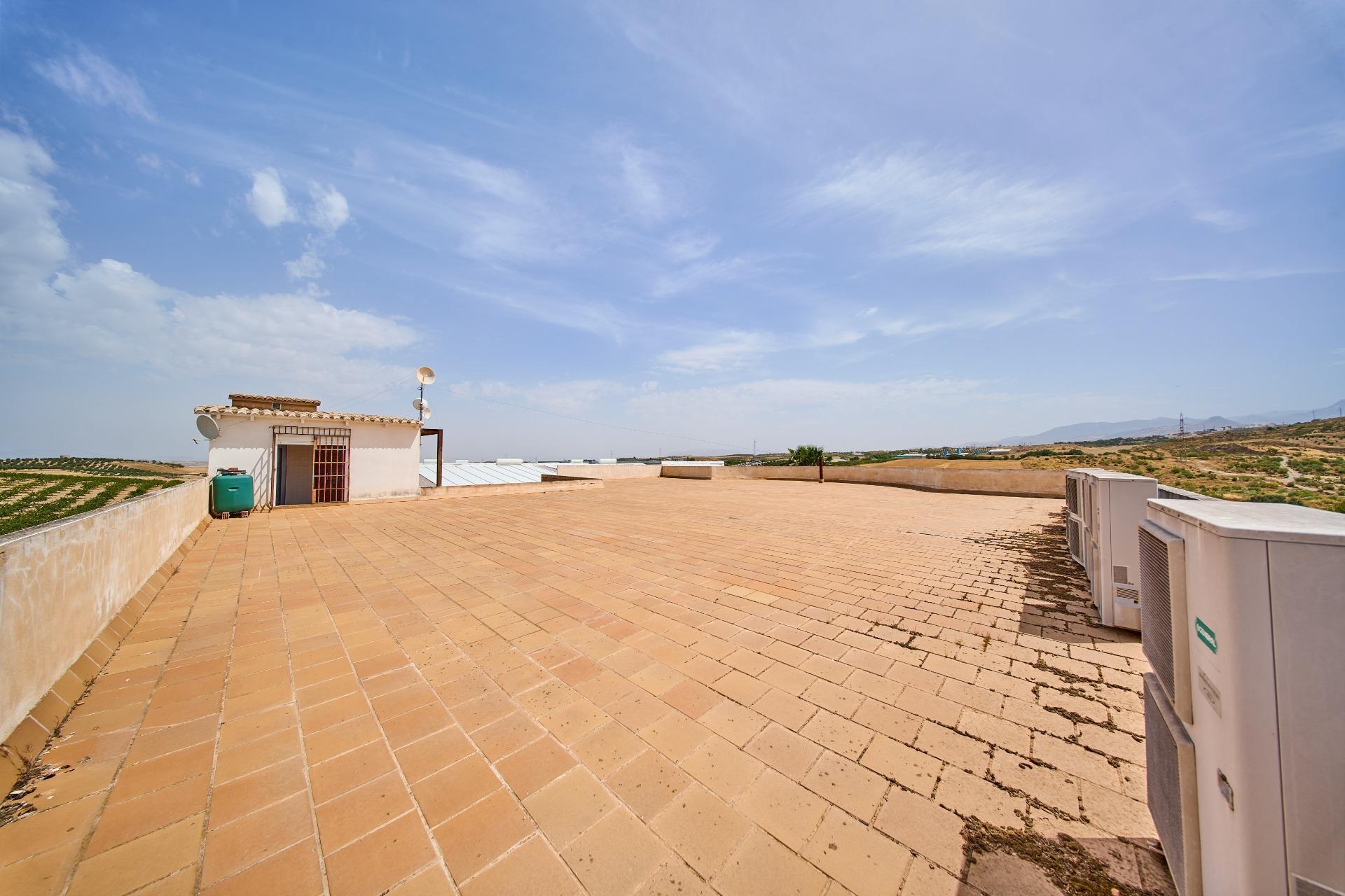 Naves-Venta-Padul-2412635-Foto-25