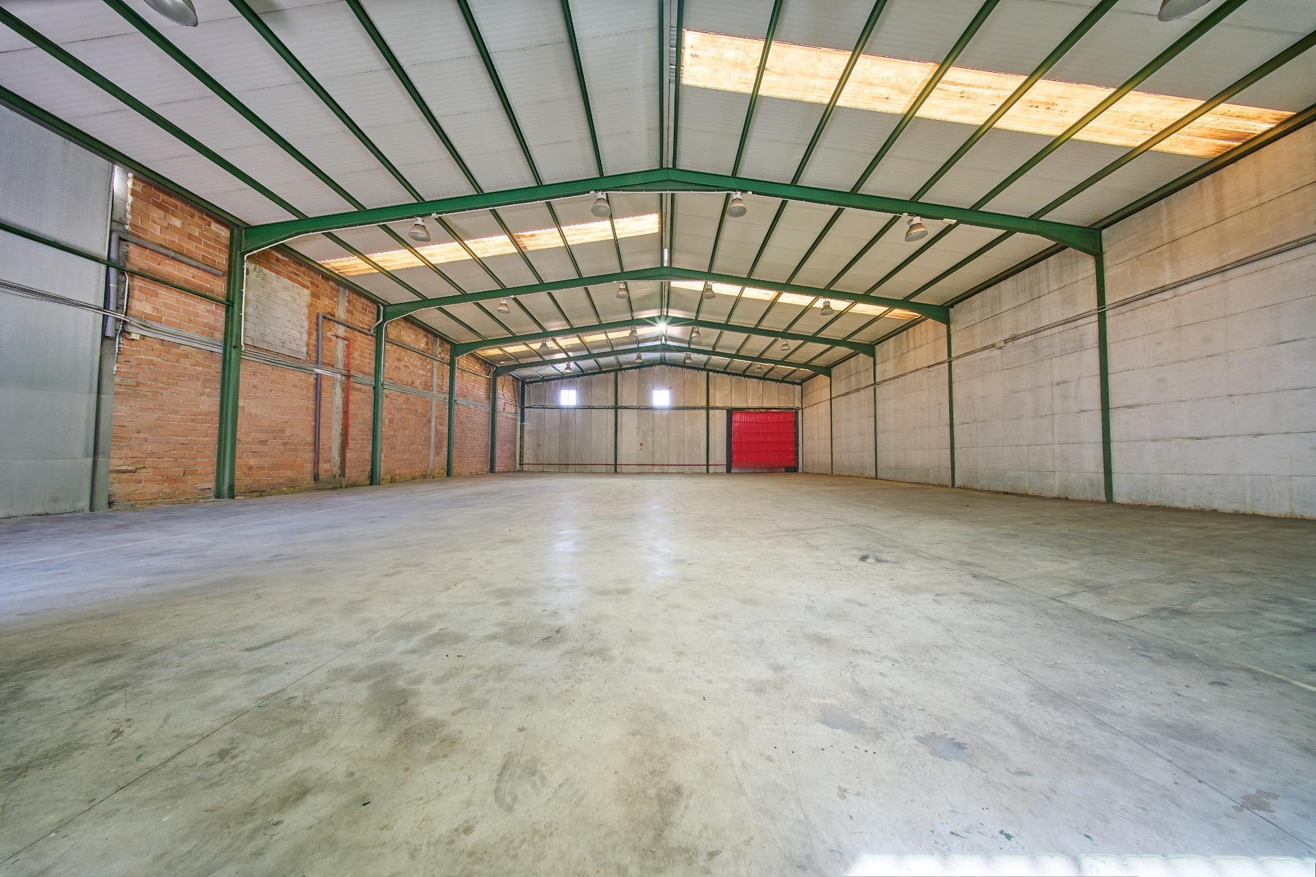 Naves-Venta-Padul-2412635-Foto-44