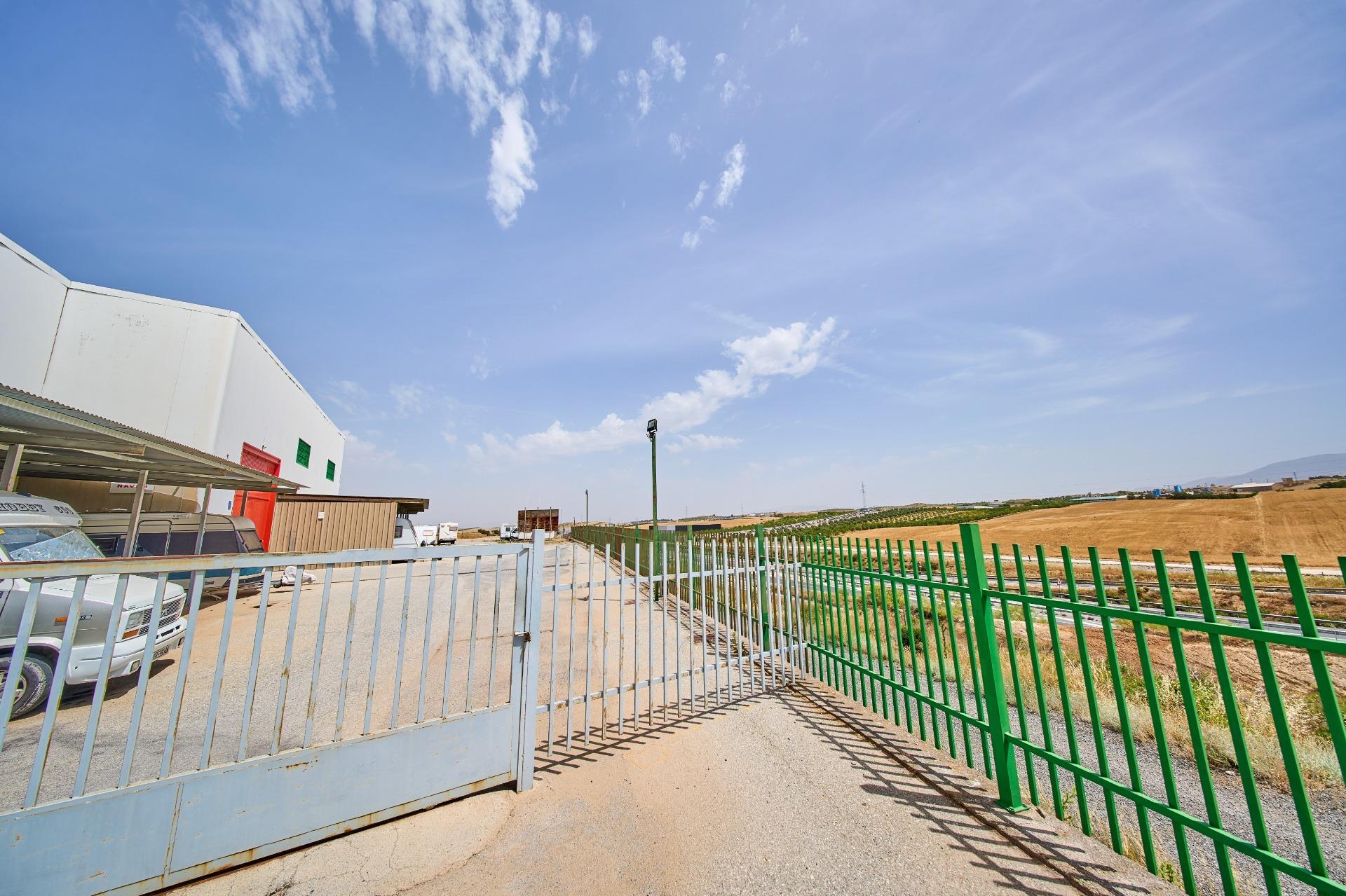Naves-Venta-Padul-2412635-Foto-42