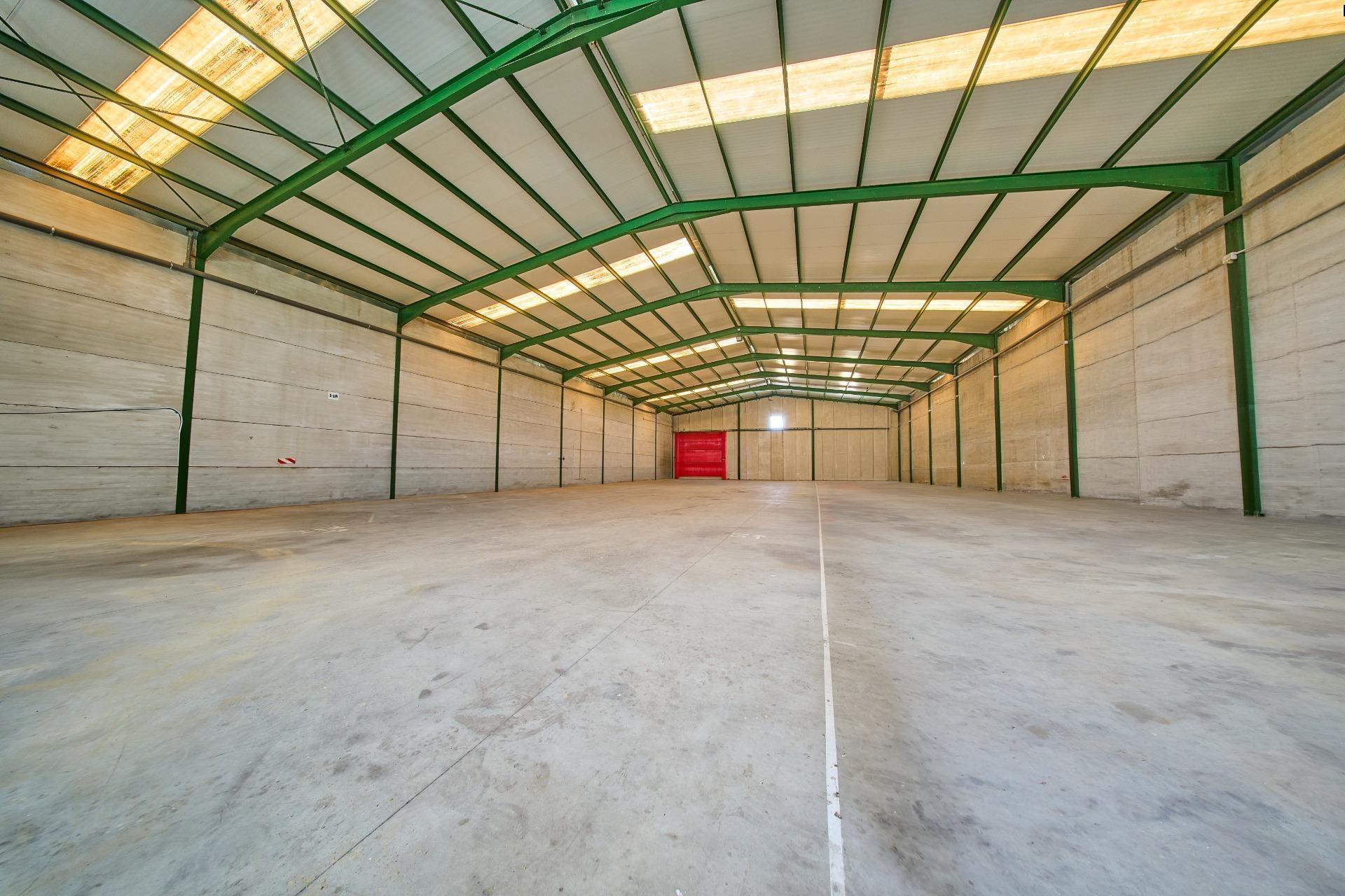 Naves-Venta-Padul-2412635-Foto-52