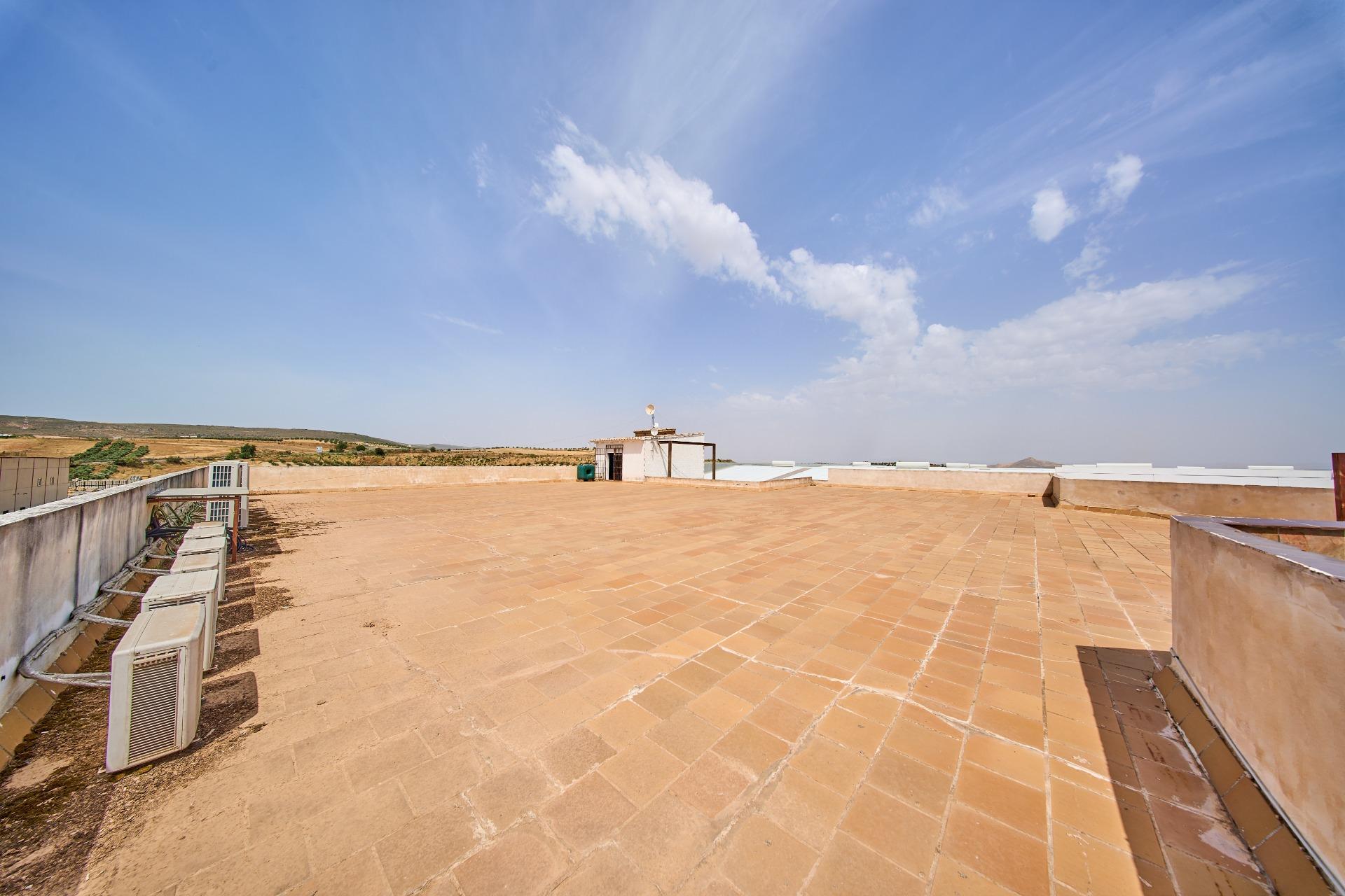 Naves-Venta-Padul-2412635-Foto-56