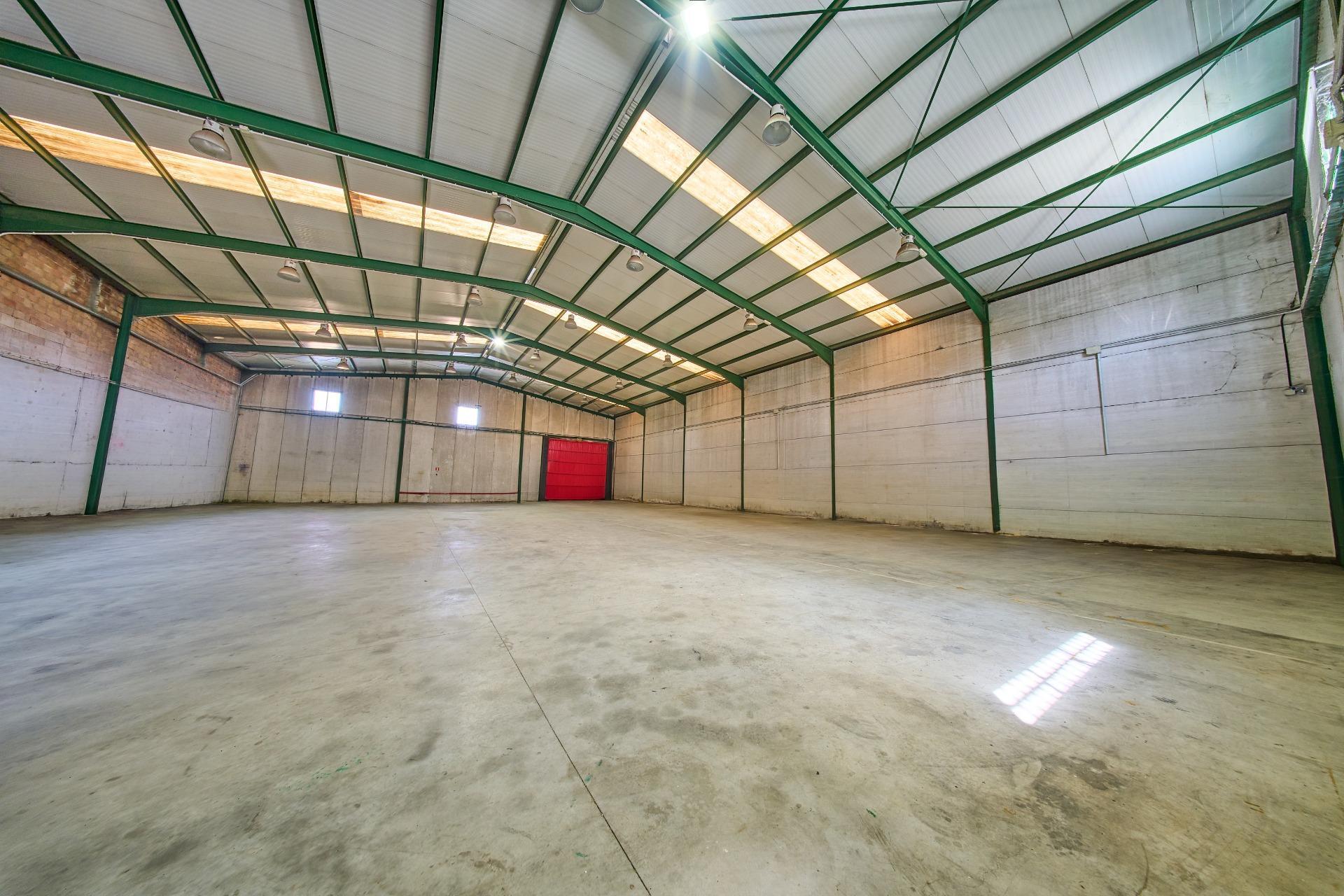 Naves-Venta-Padul-2412635-Foto-60