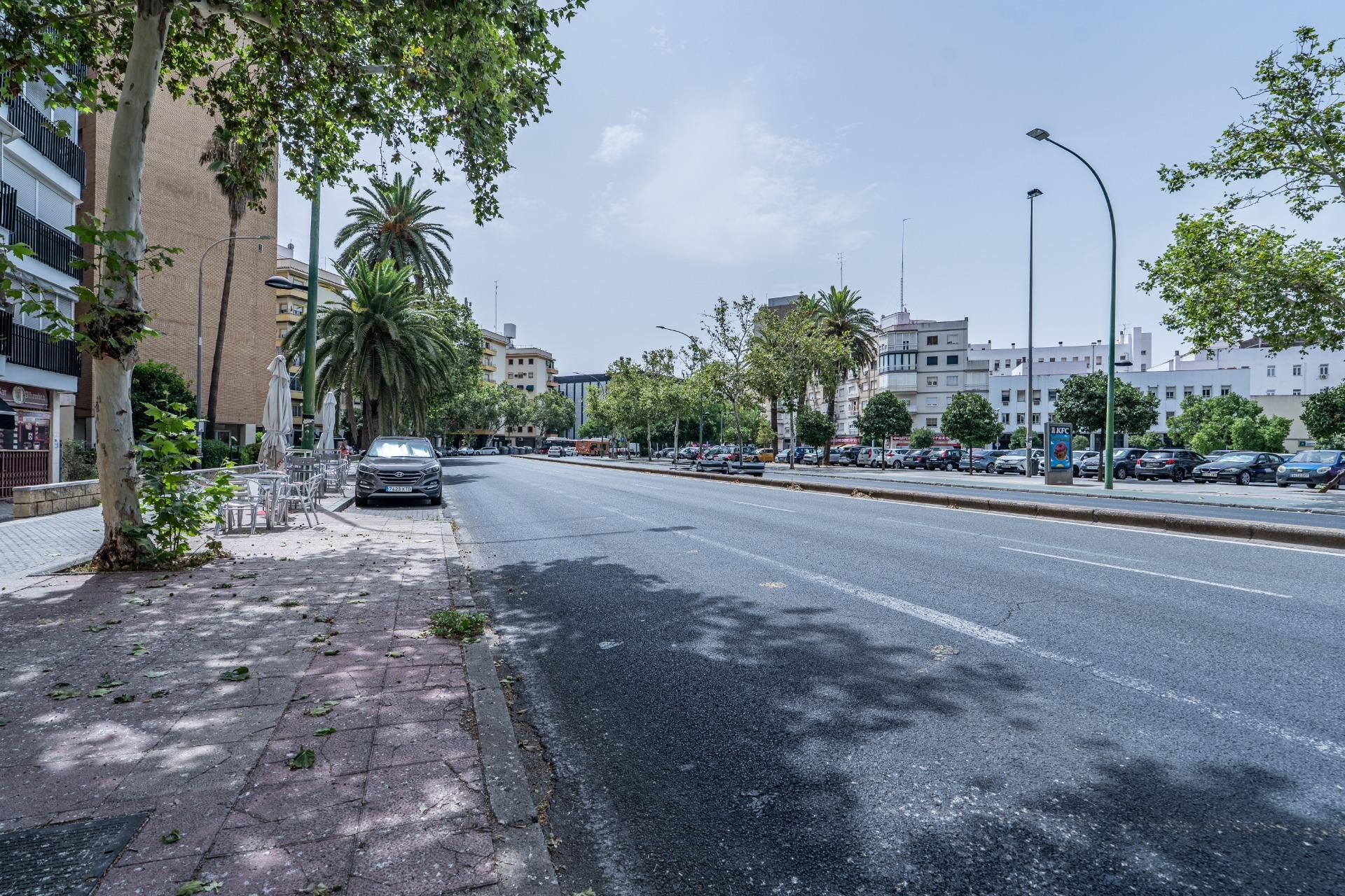 Pisos-Alquiler-Burguillos-2415749-Foto-40
