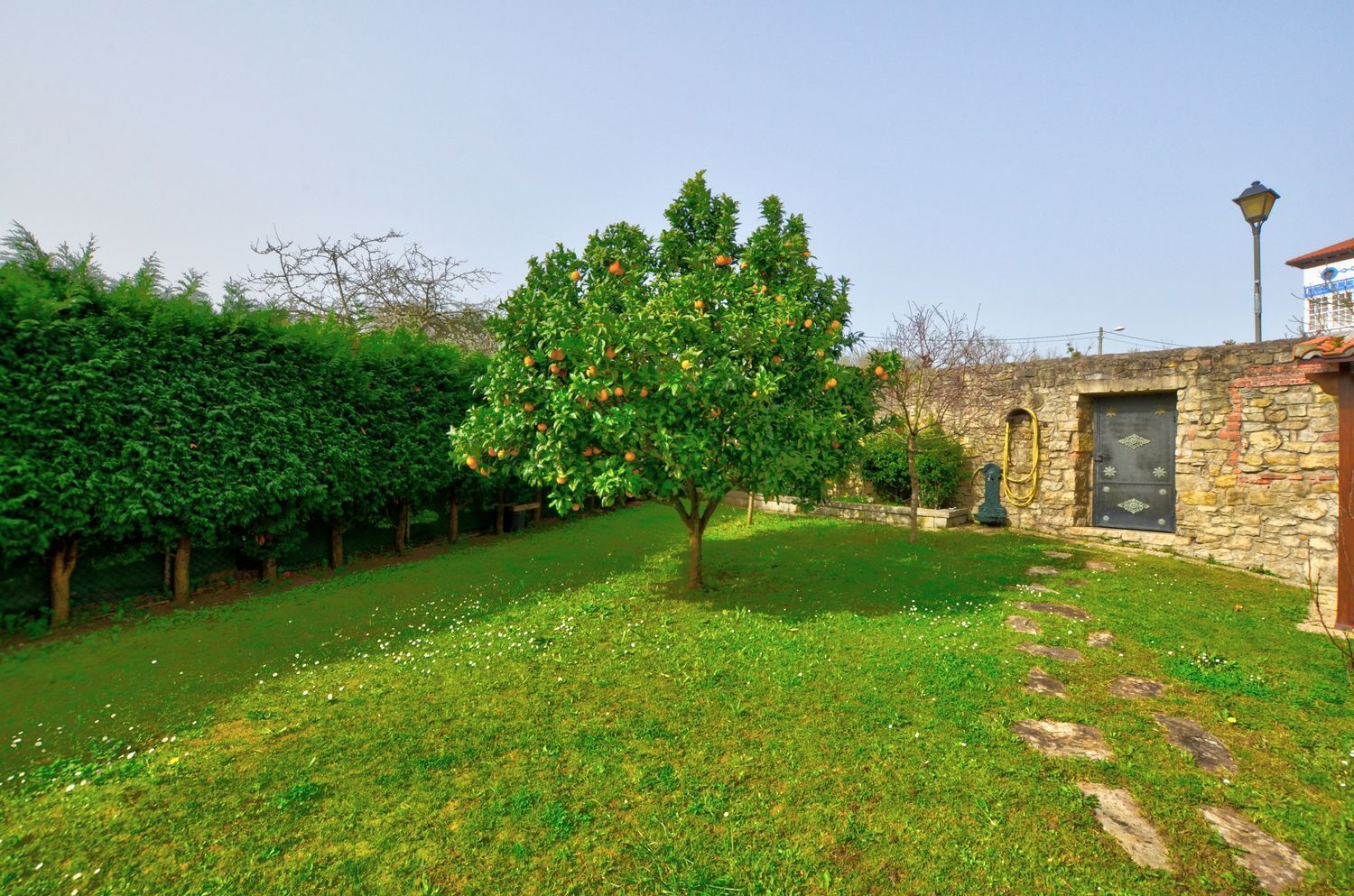 Casas o chalets-Venta-Murcia-2142988-Foto-86