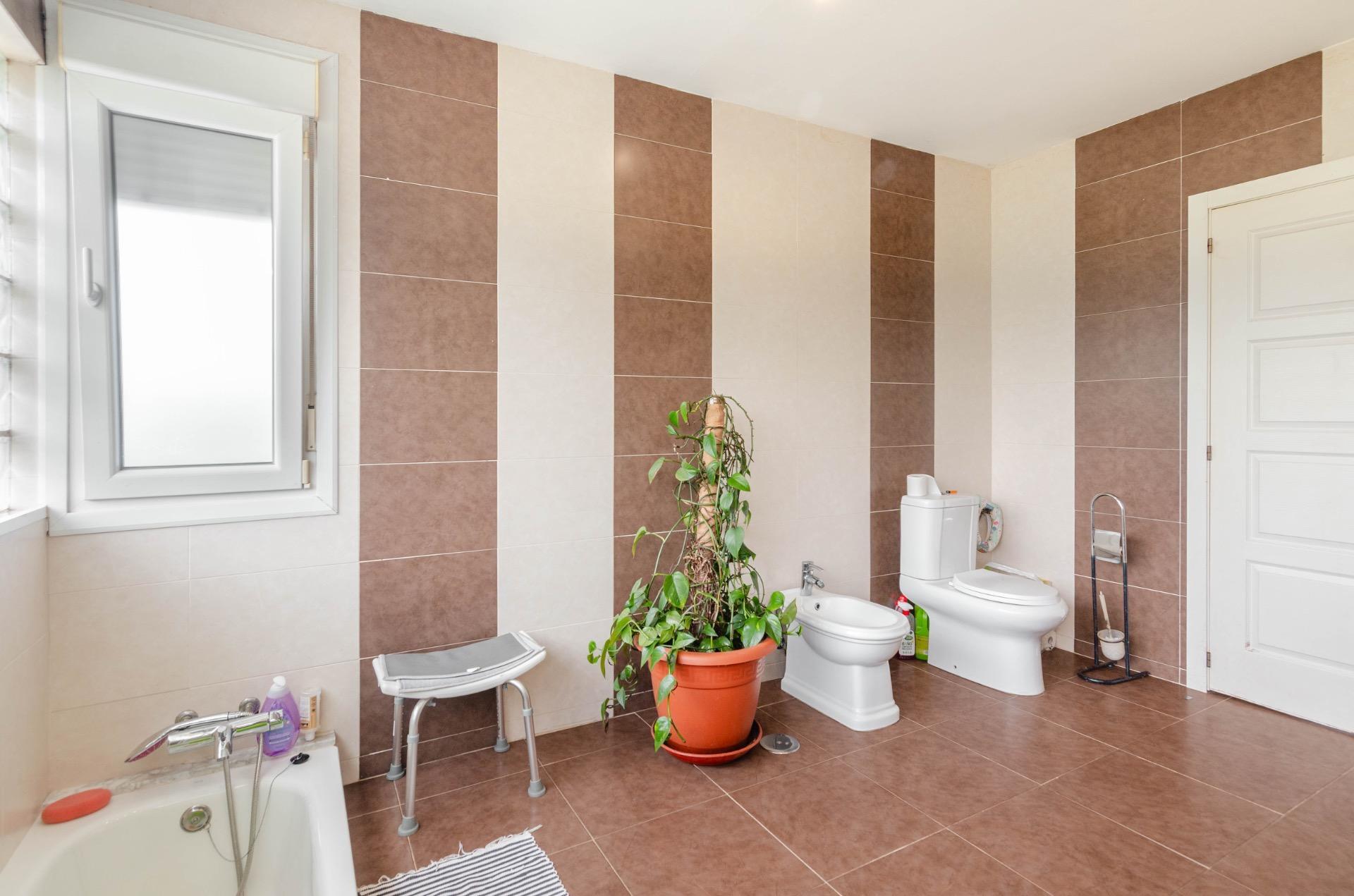 Casas o chalets-Venta-Llanera-2412662-Foto-33