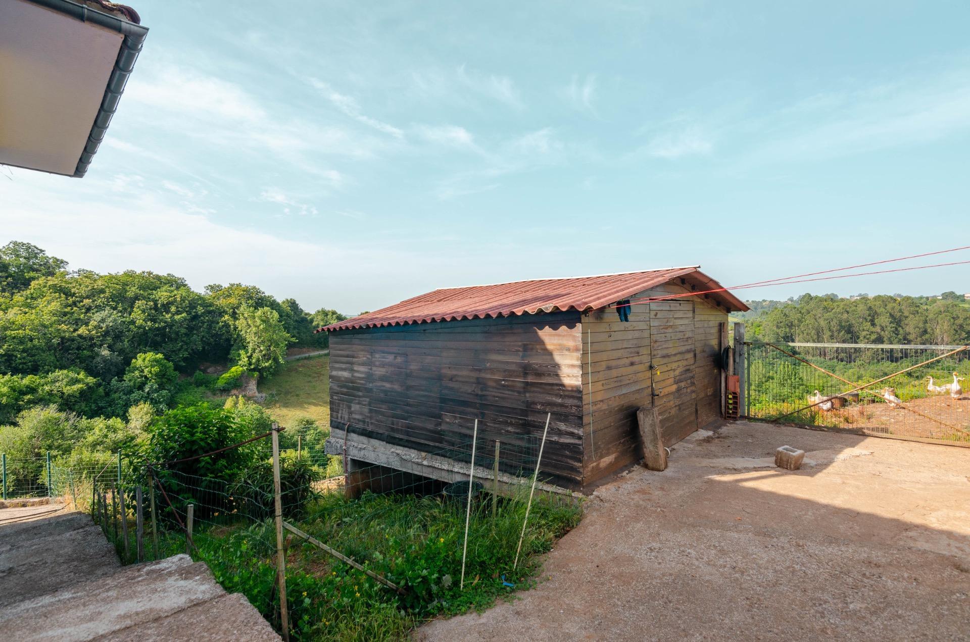 Casas o chalets-Venta-Llanera-2412662-Foto-52