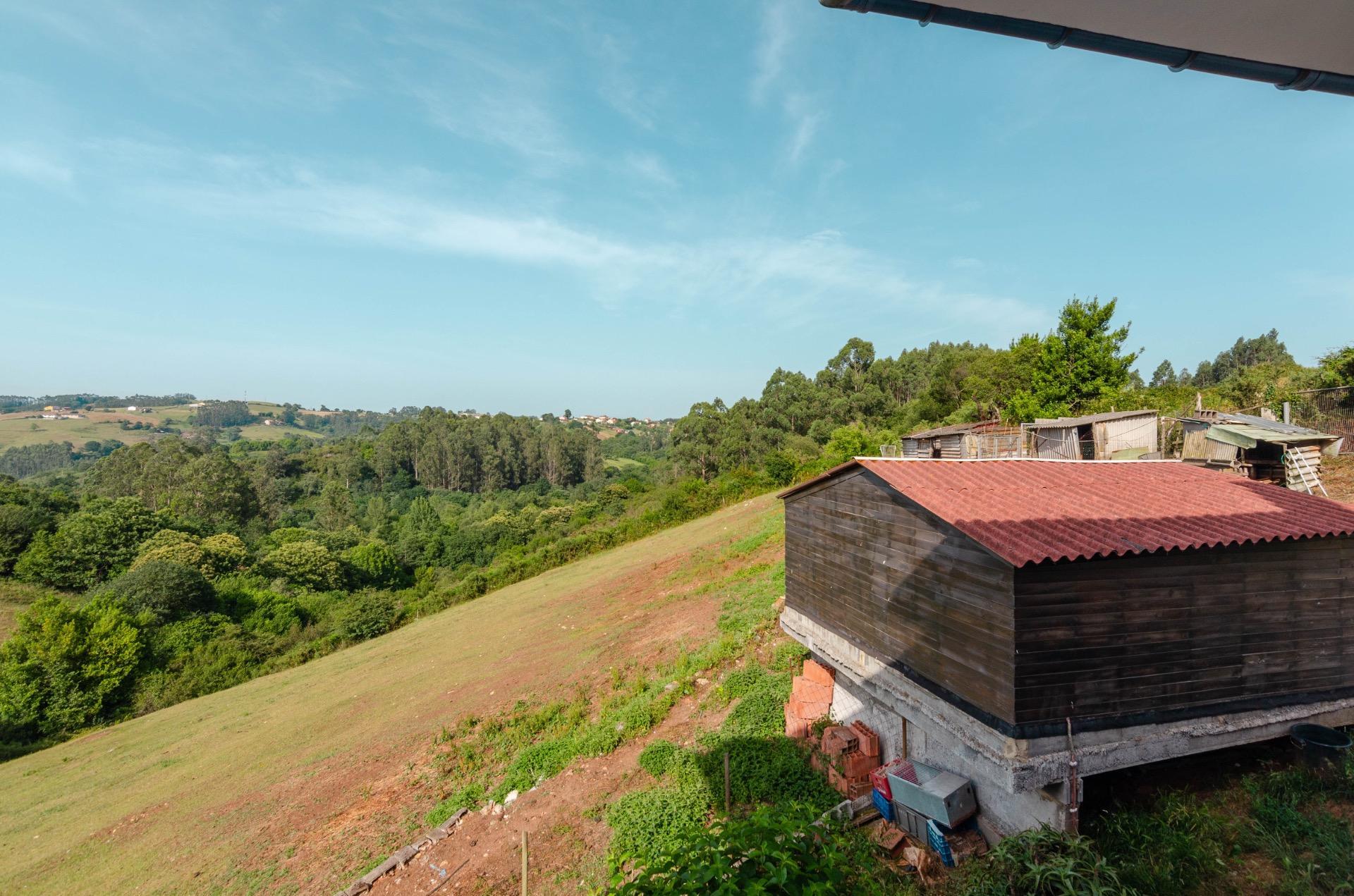 Casas o chalets-Venta-Llanera-2412662-Foto-53