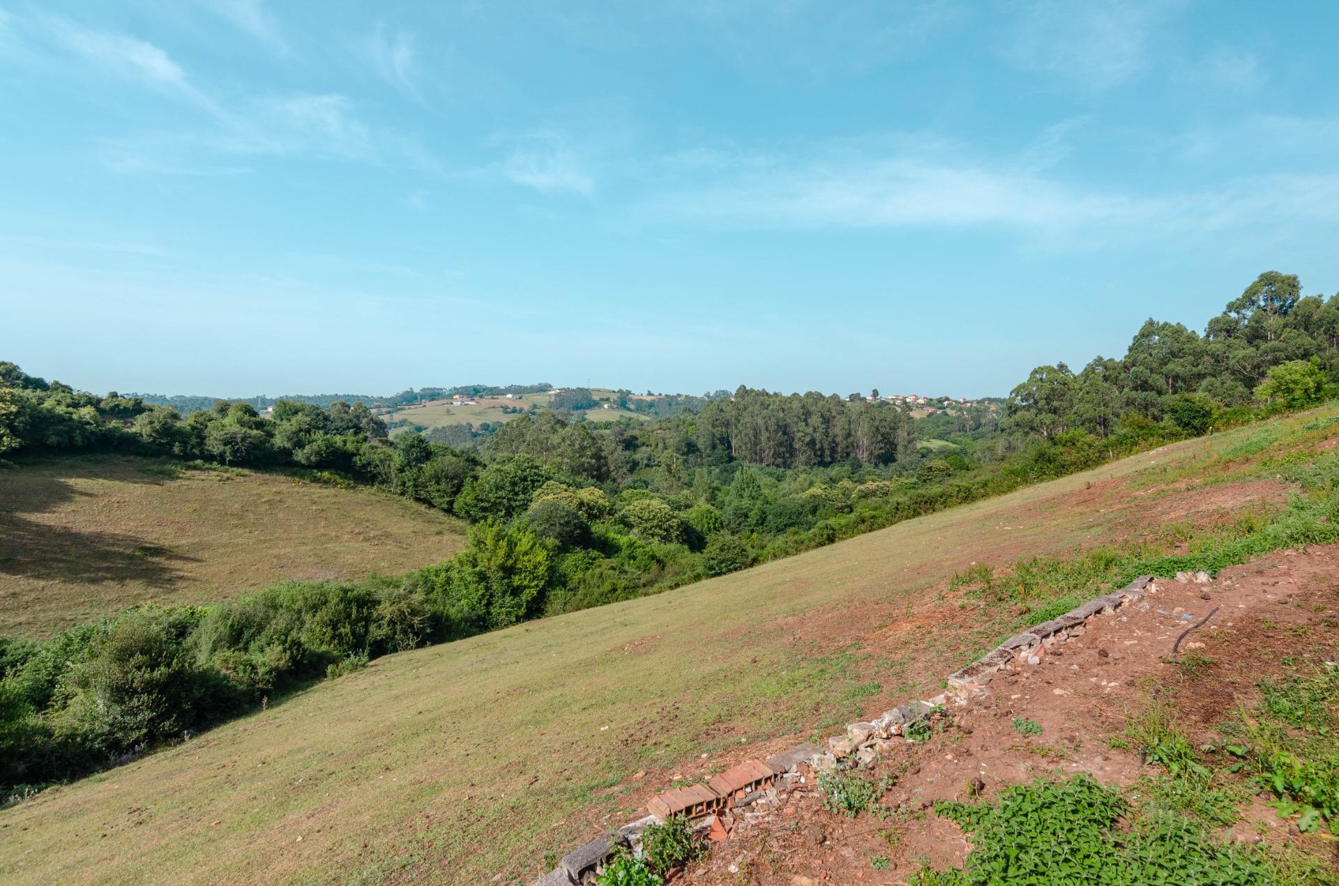 Casas o chalets-Venta-Llanera-2412662-Foto-54