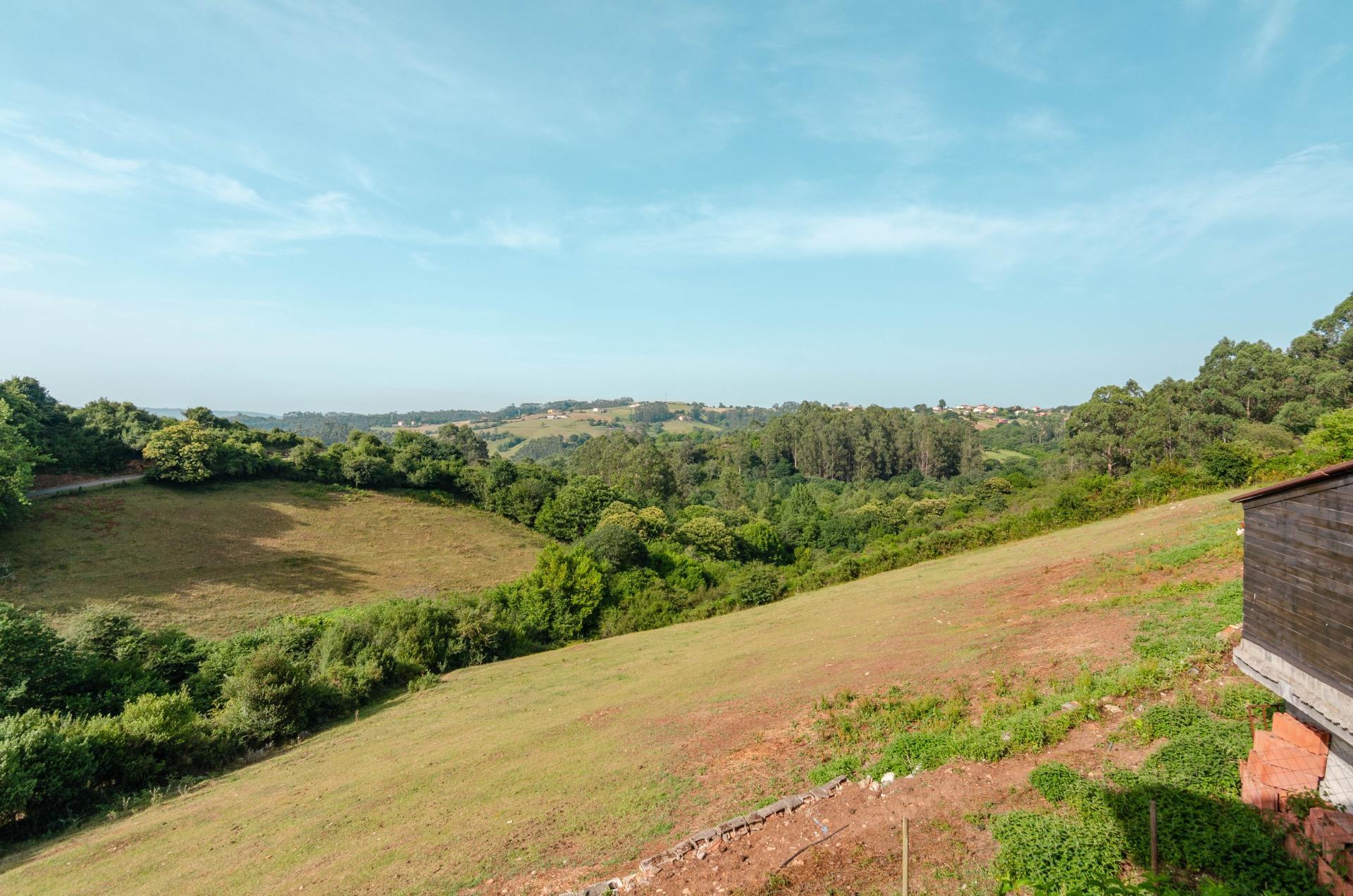 Casas o chalets-Venta-Llanera-2412662-Foto-55