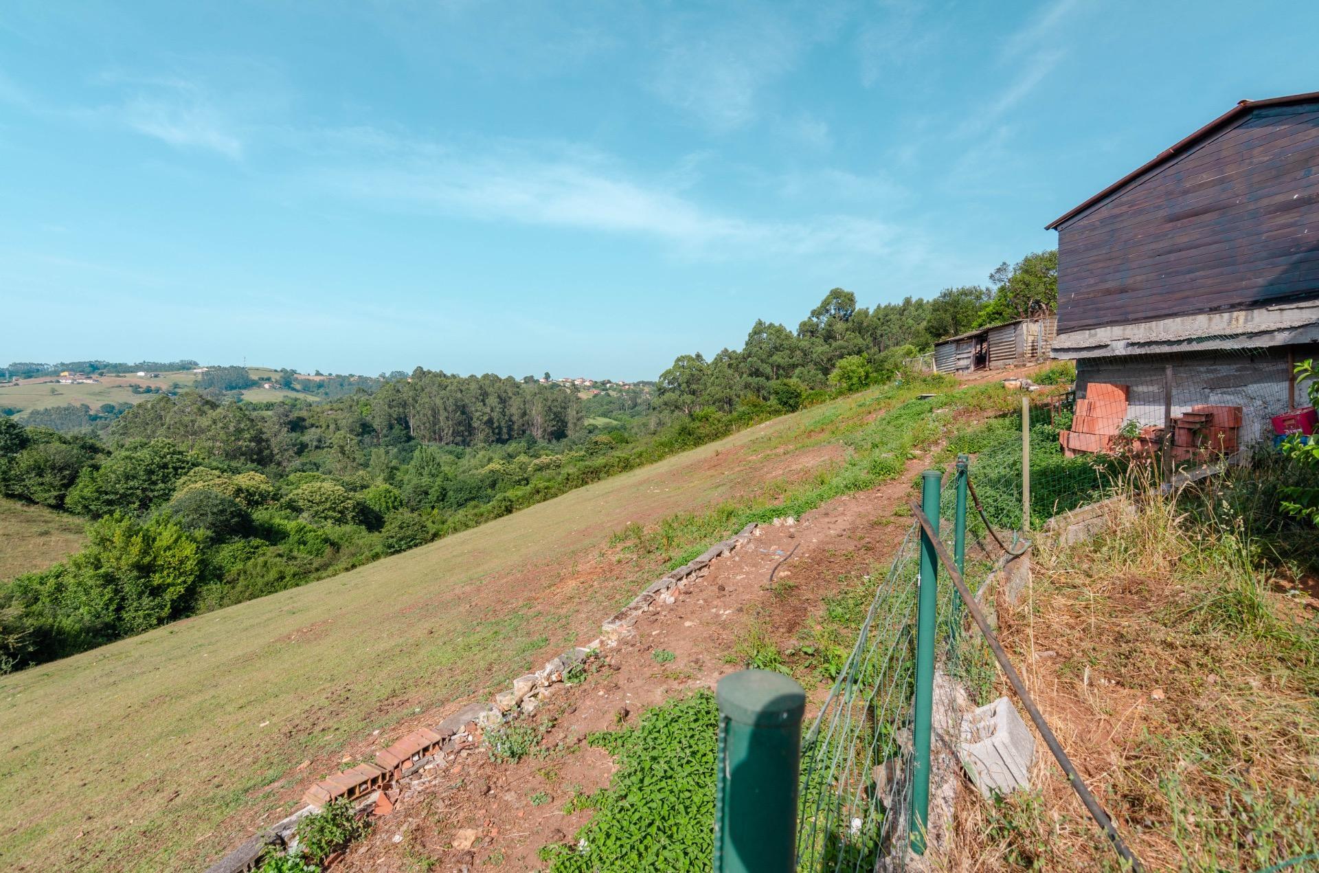Casas o chalets-Venta-Llanera-2412662-Foto-57