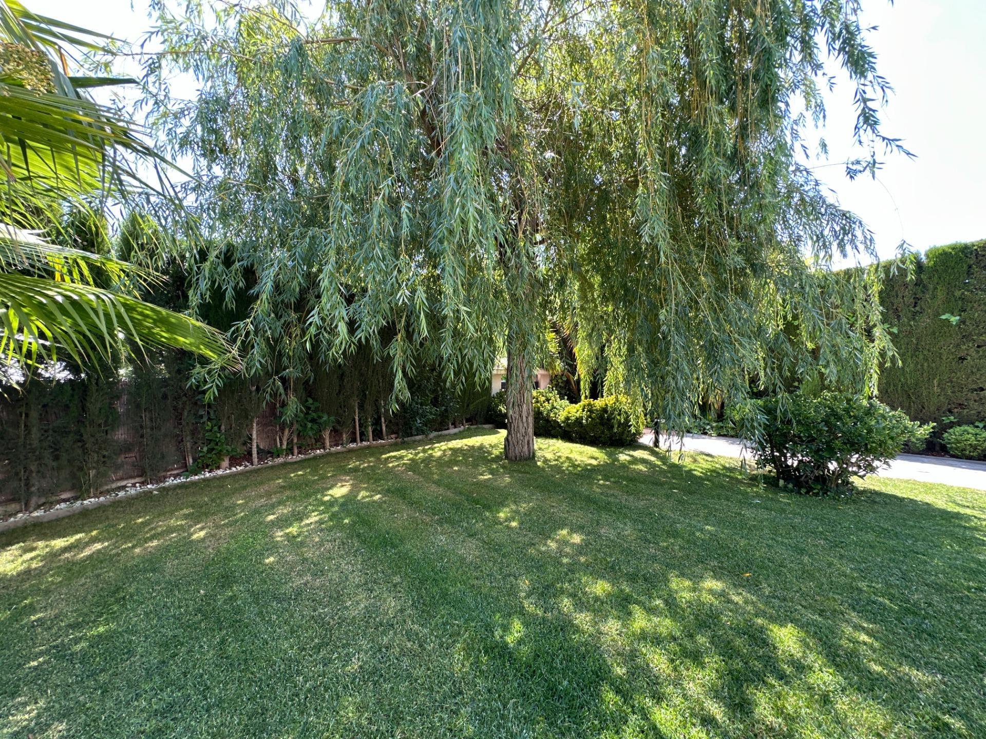 Casas o chalets-Venta-Zaragoza-2415872-Foto-9