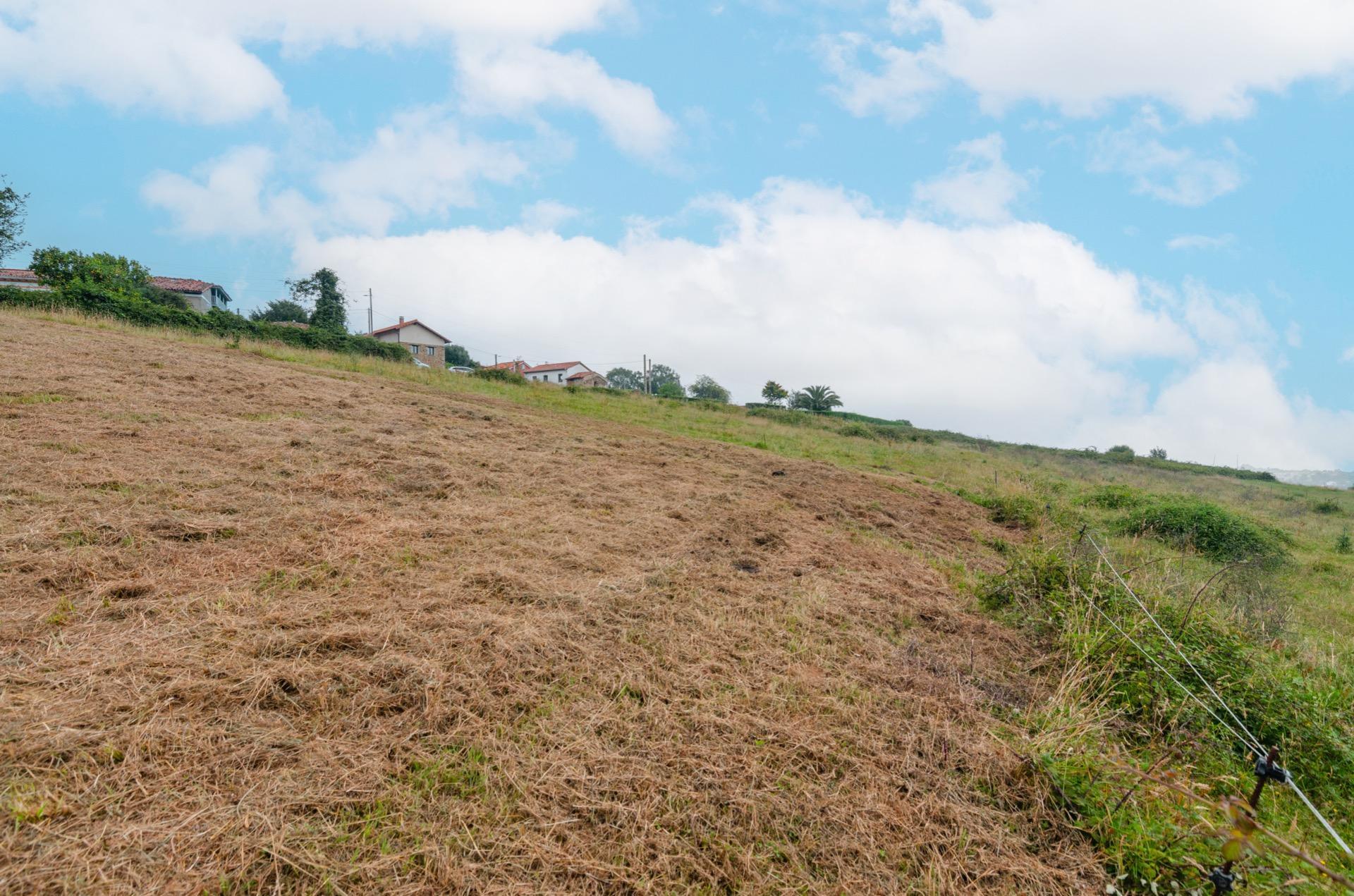 Fincas y solares-Venta-Cudillero-2412671-Foto-22