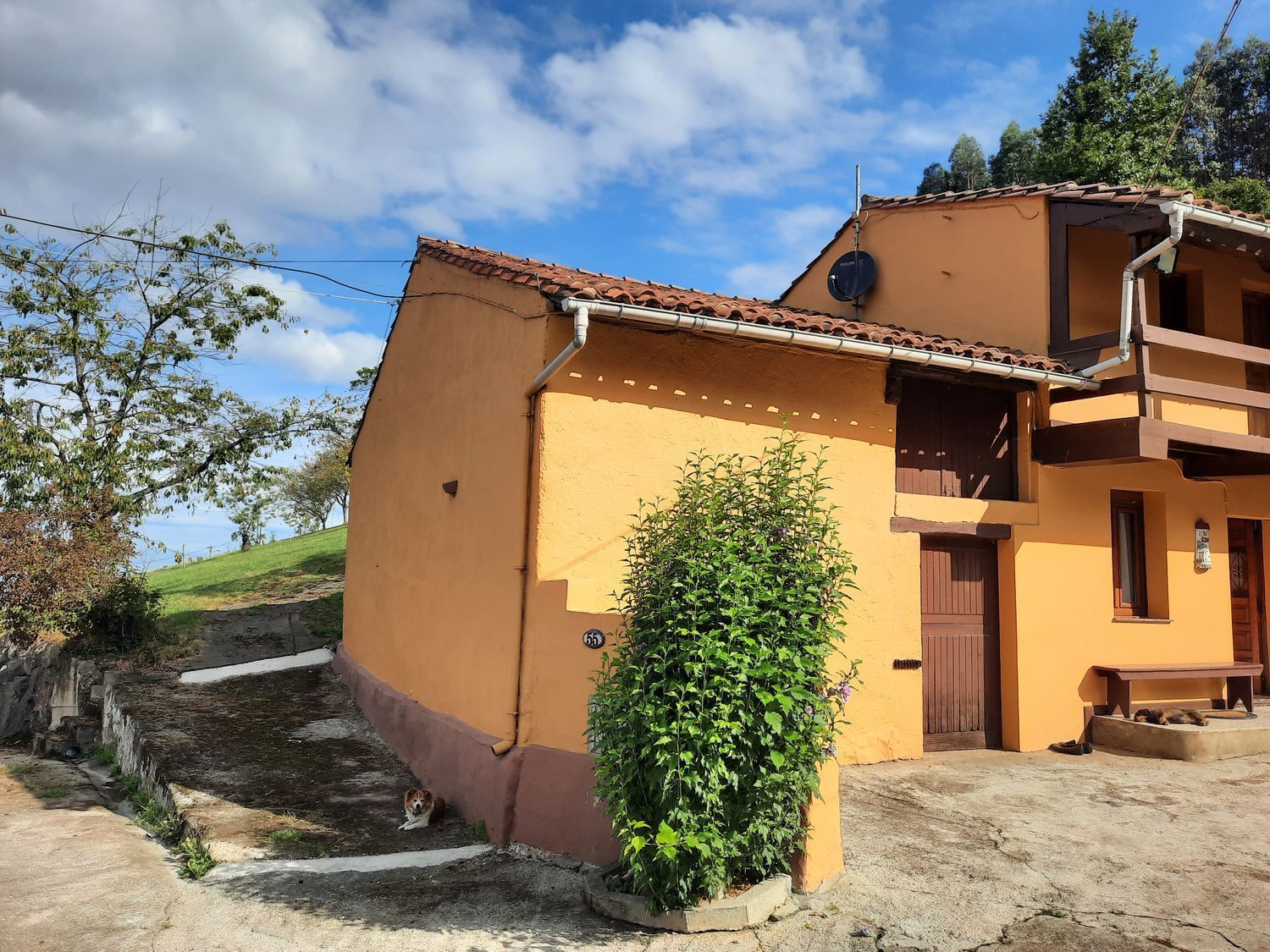 Casas o chalets-Venta-GijÃ³n-2412680-Foto-4