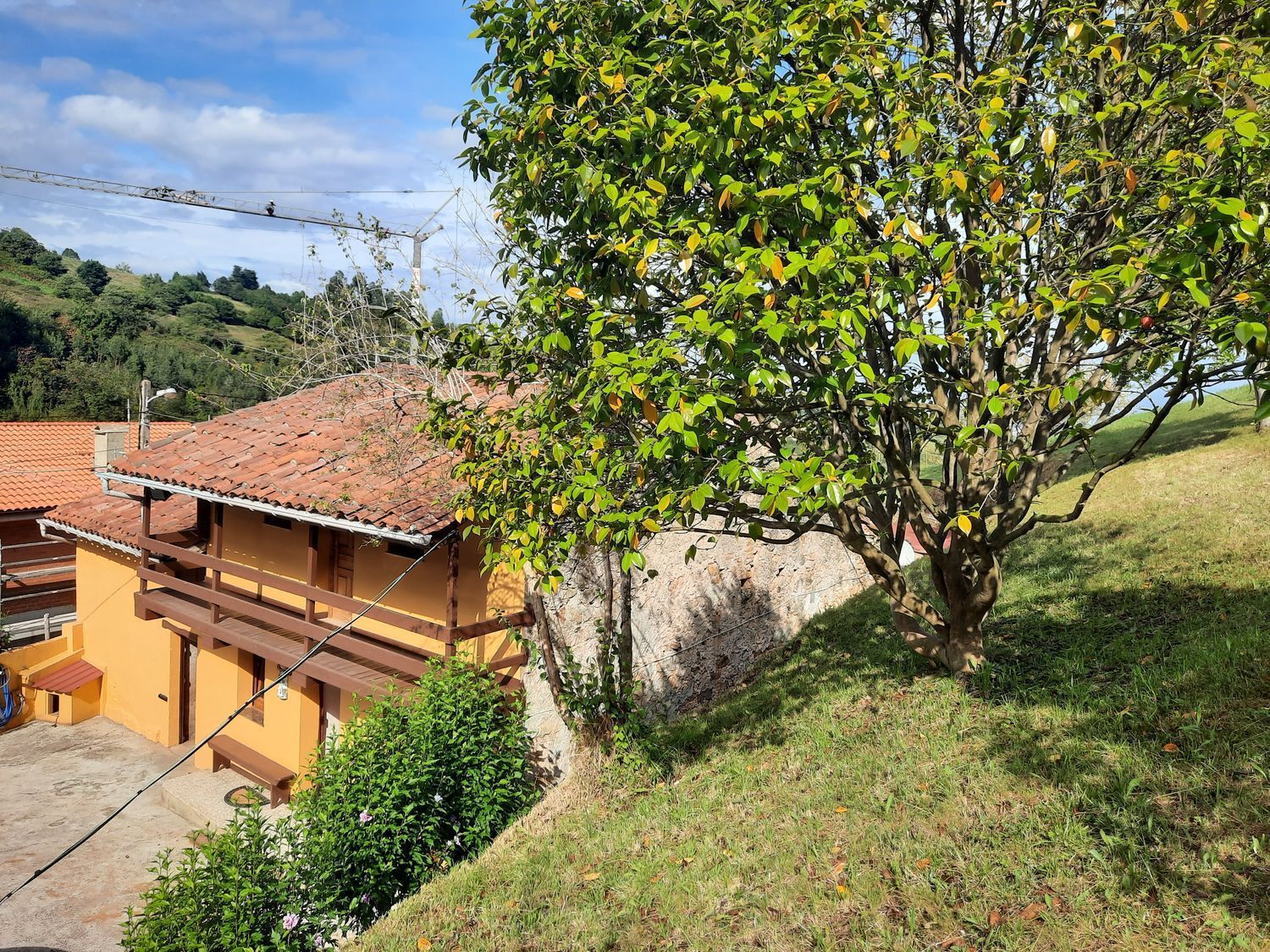 Casas o chalets-Venta-GijÃ³n-2412680-Foto-6