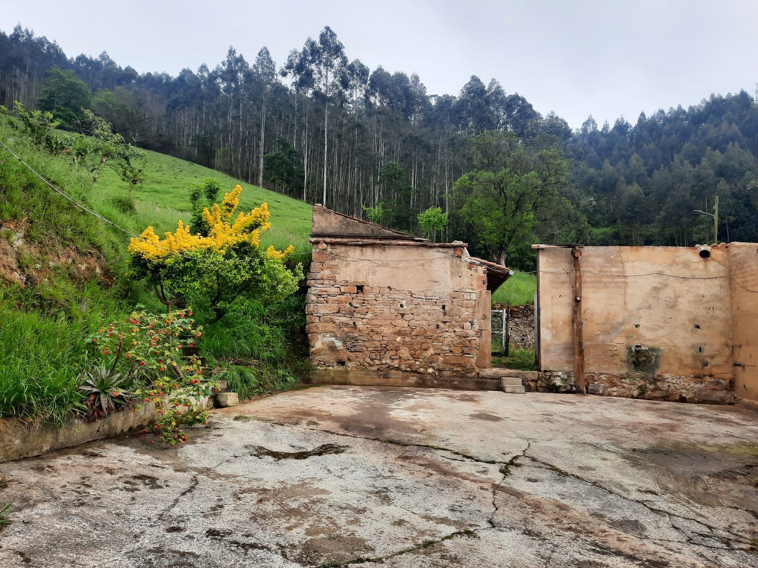 Casas o chalets-Venta-GijÃ³n-2412680-Foto-9