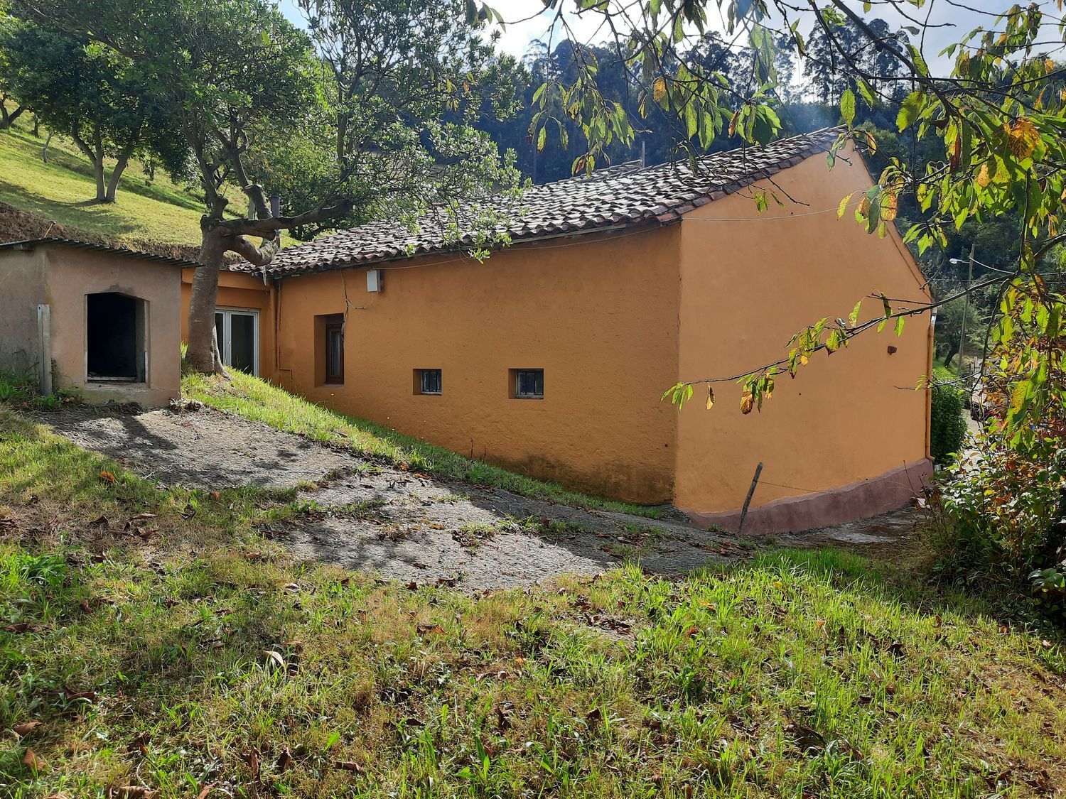 Casas o chalets-Venta-GijÃ³n-2412680-Foto-7