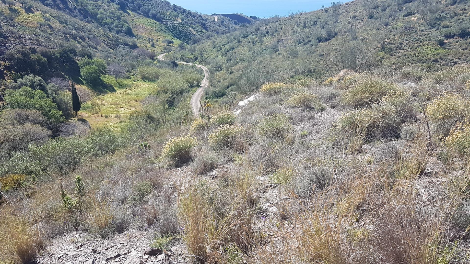 Fincas y solares-Venta-Chilches-2213719-Foto-6