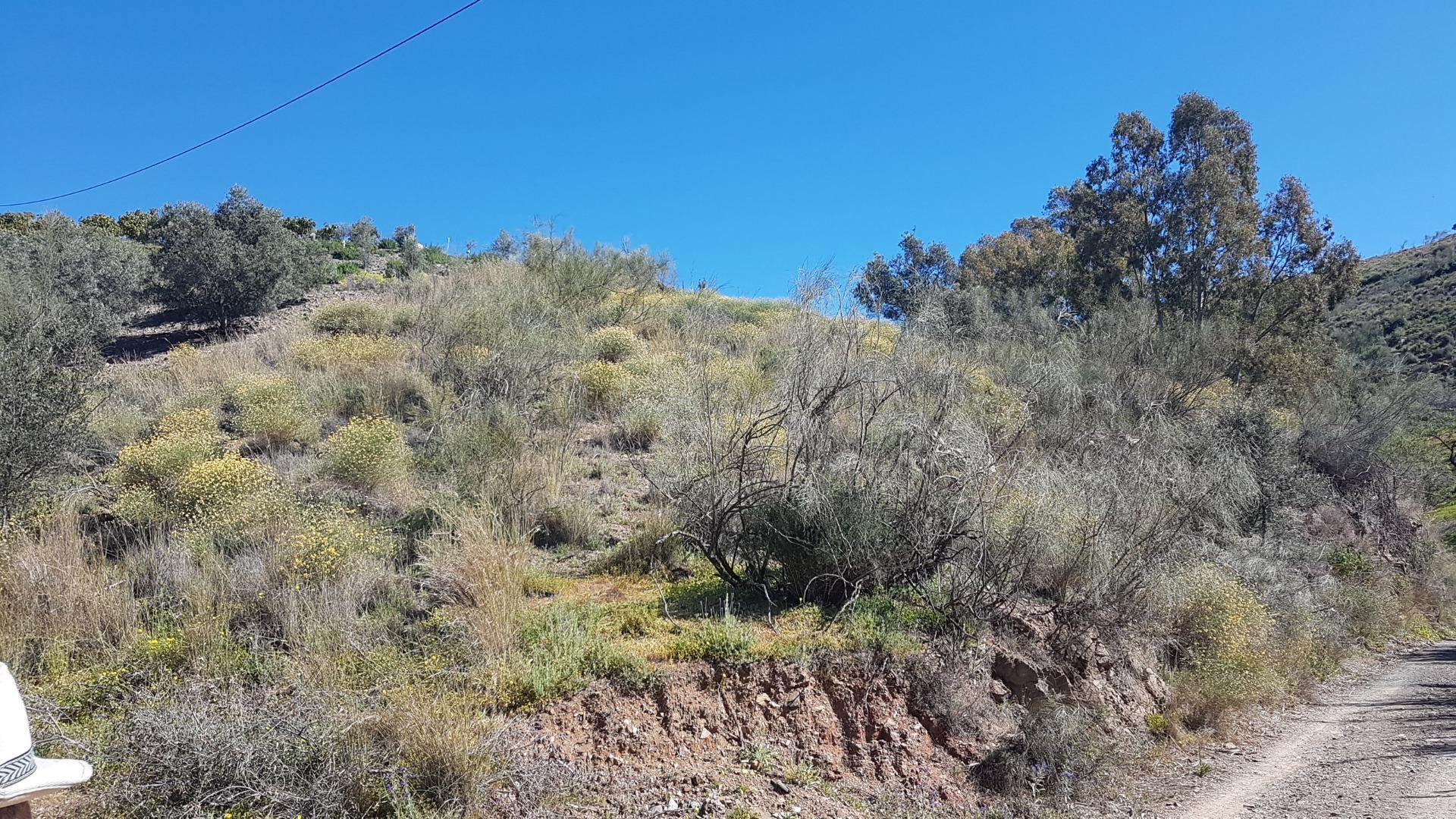 Fincas y solares-Venta-Chilches-2213719-Foto-10