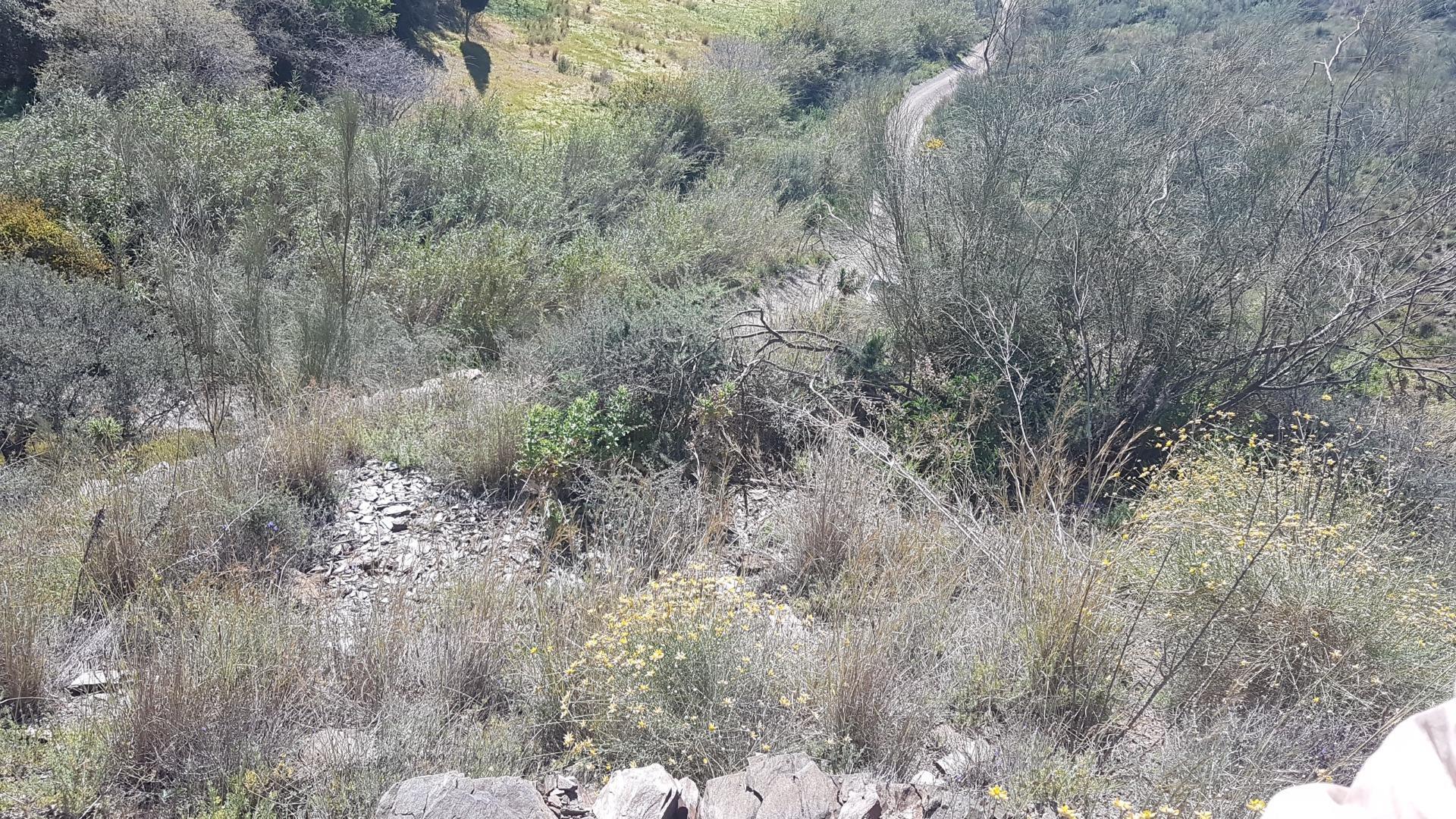 Fincas y solares-Venta-Chilches-2213719-Foto-9