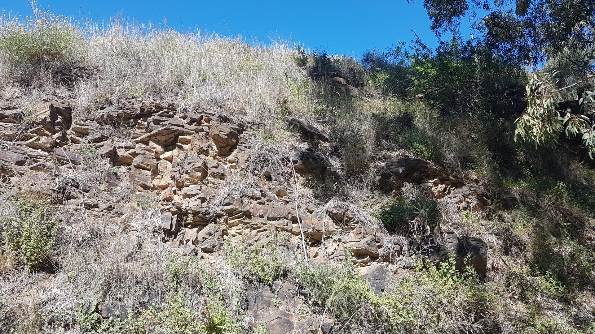 Fincas y solares-Venta-Chilches-2213719-Foto-11