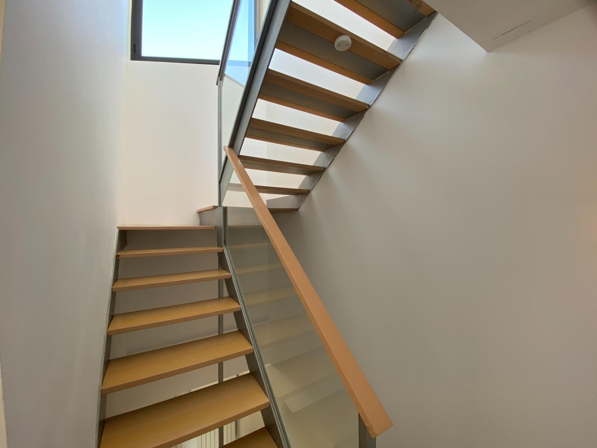 Casas o chalets-Alquiler-Zaragoza-2415890-Foto-36